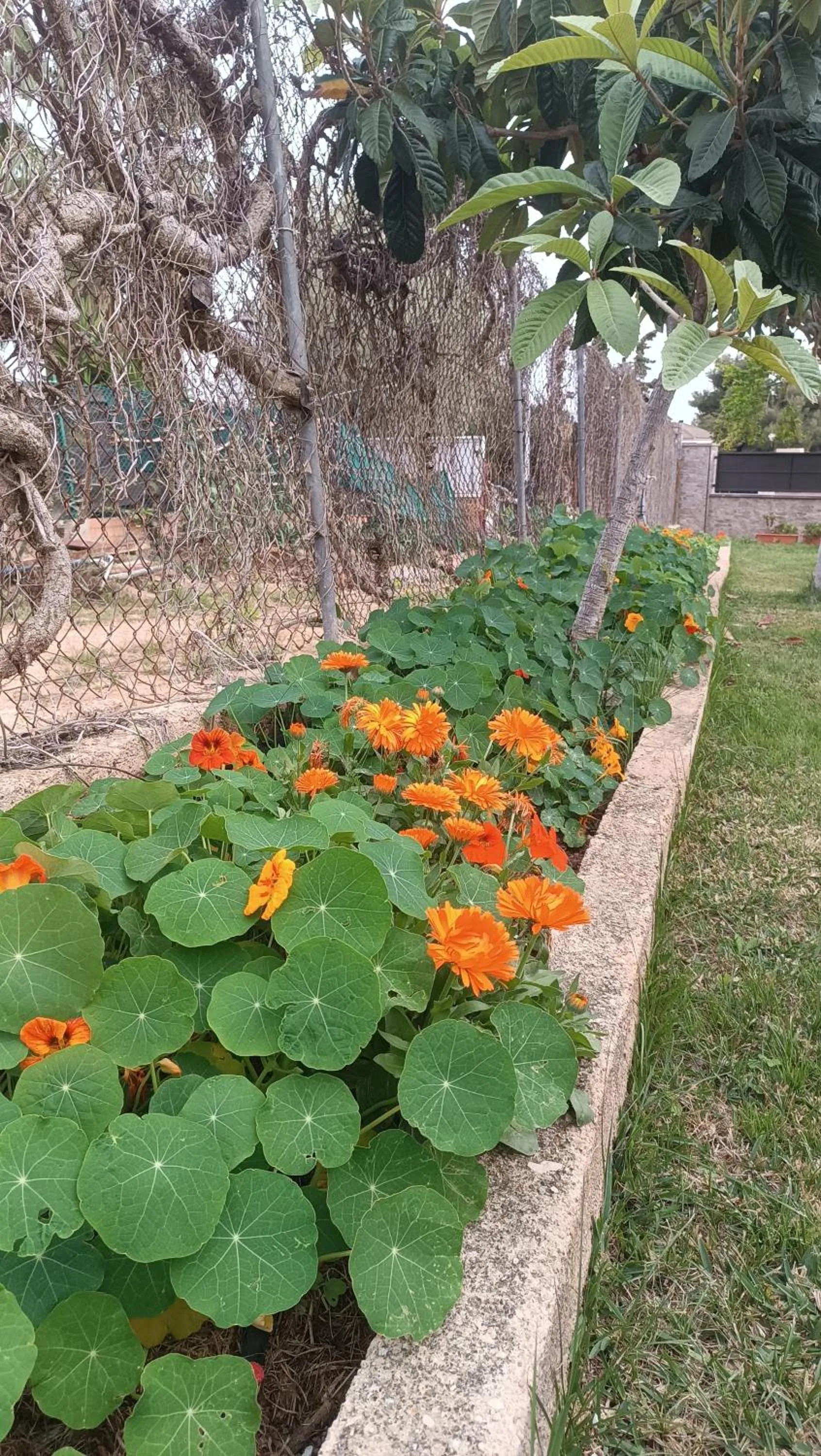 Garden in Escapada de ciudad al aire libre