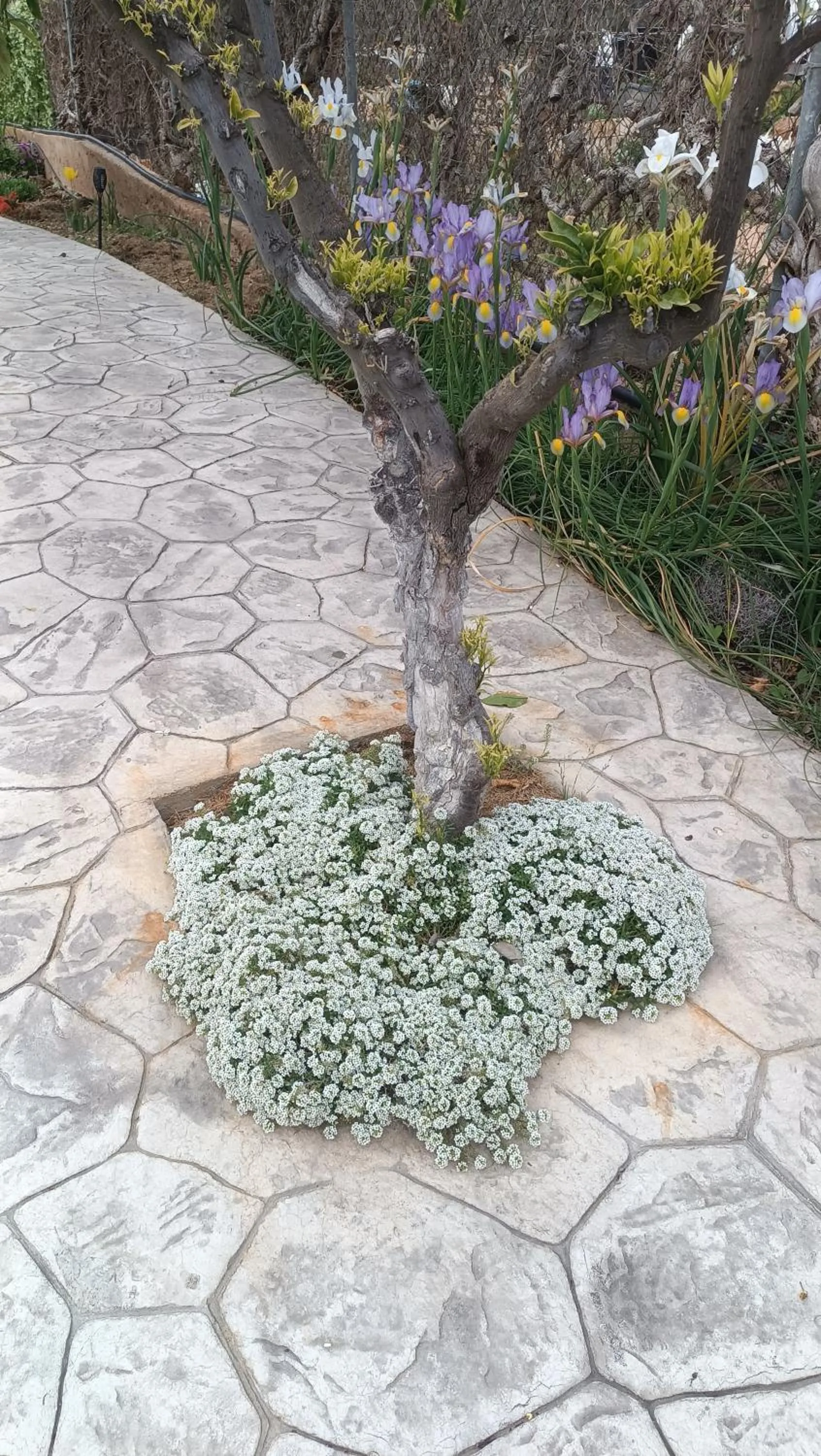 Inner courtyard view in Escapada de ciudad al aire libre