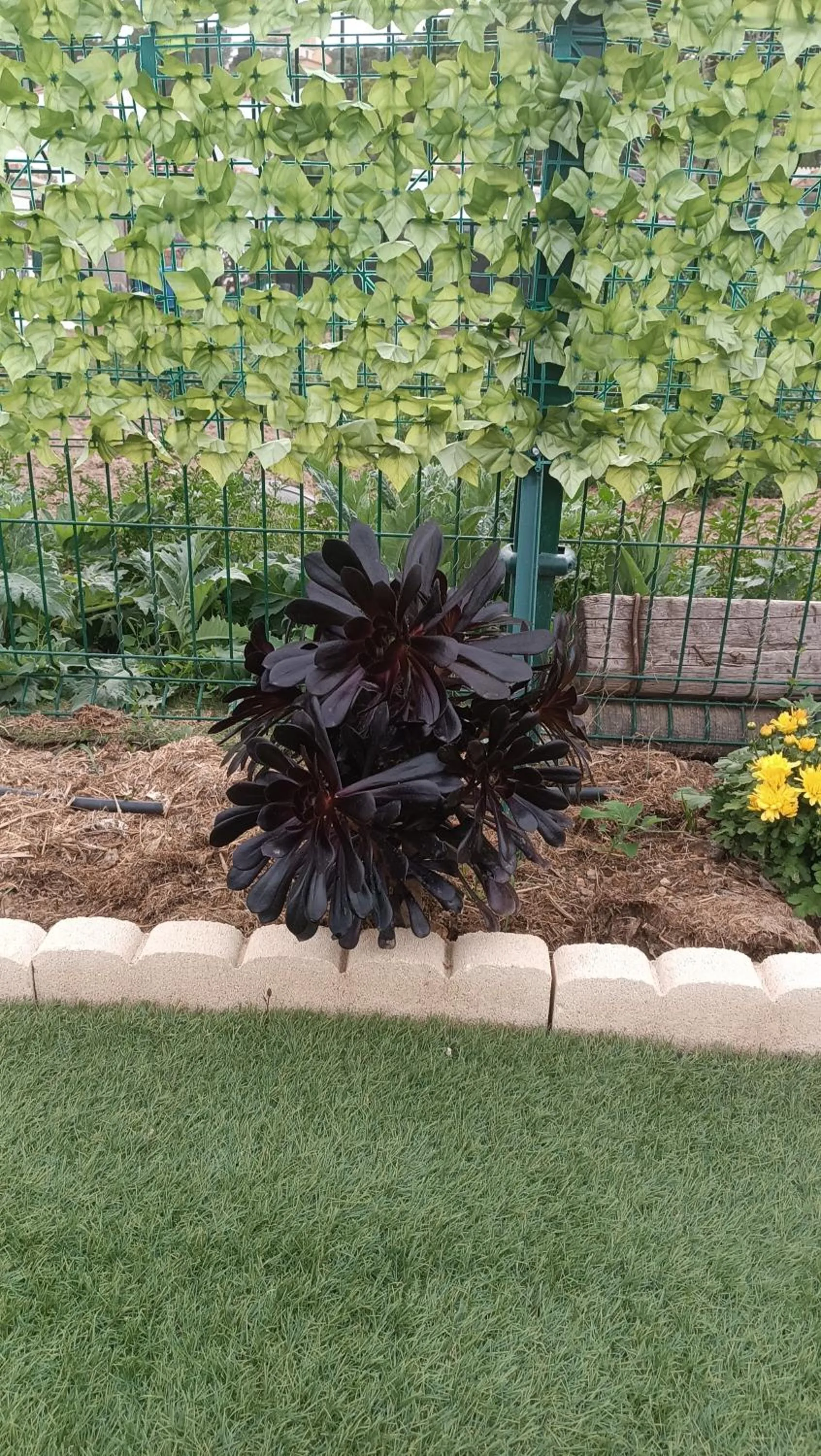 Garden in Escapada de ciudad al aire libre