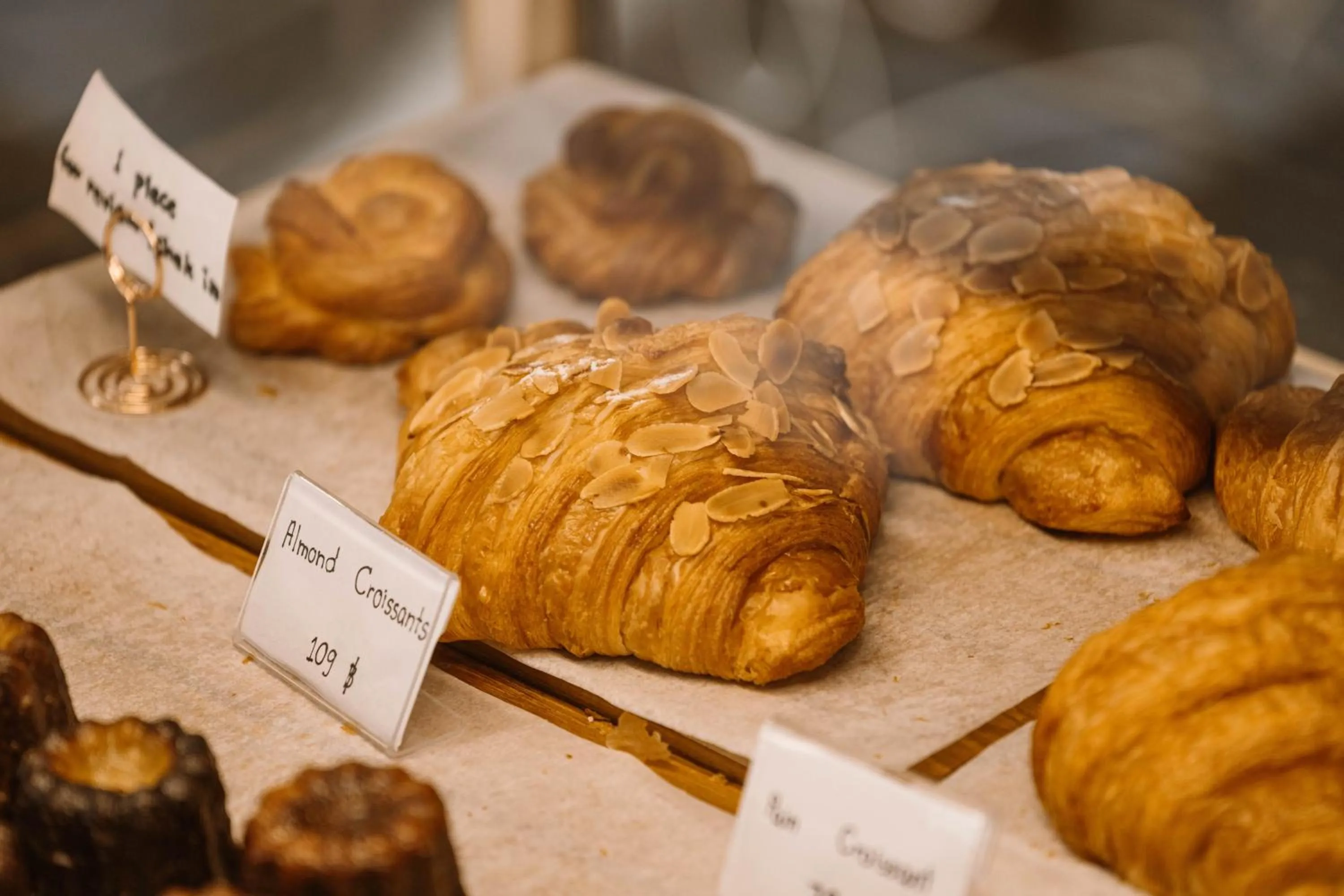 Restaurant/places to eat in Maplewood Hotel Chiangmai