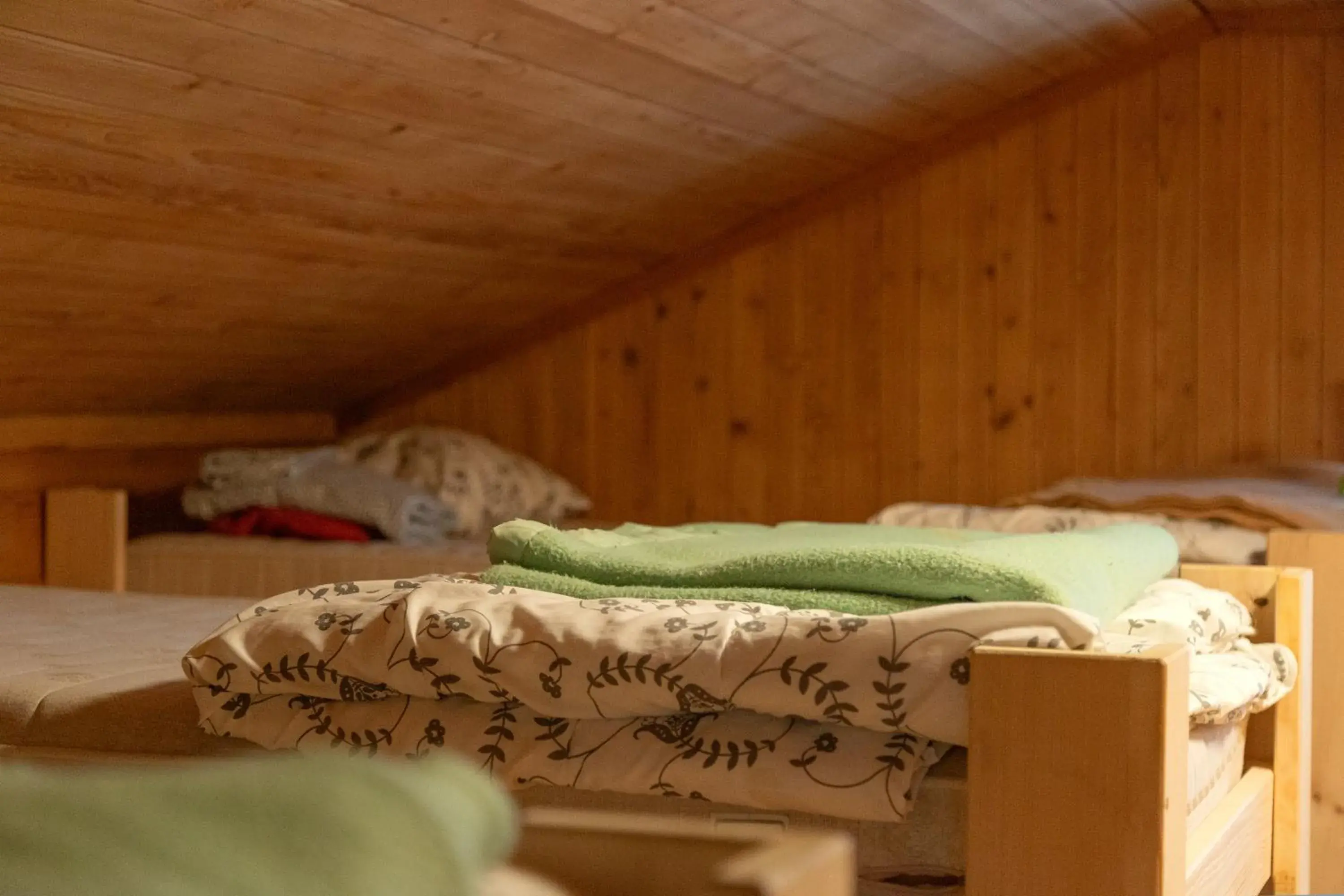 Bed in 6-Bed Mixed Dormitory Room in Kunst- und Naturfreundehaus Brünig Bed in 6-Bed Mixed Dormitory Room in Kunst- und Naturfreundehaus Brünig