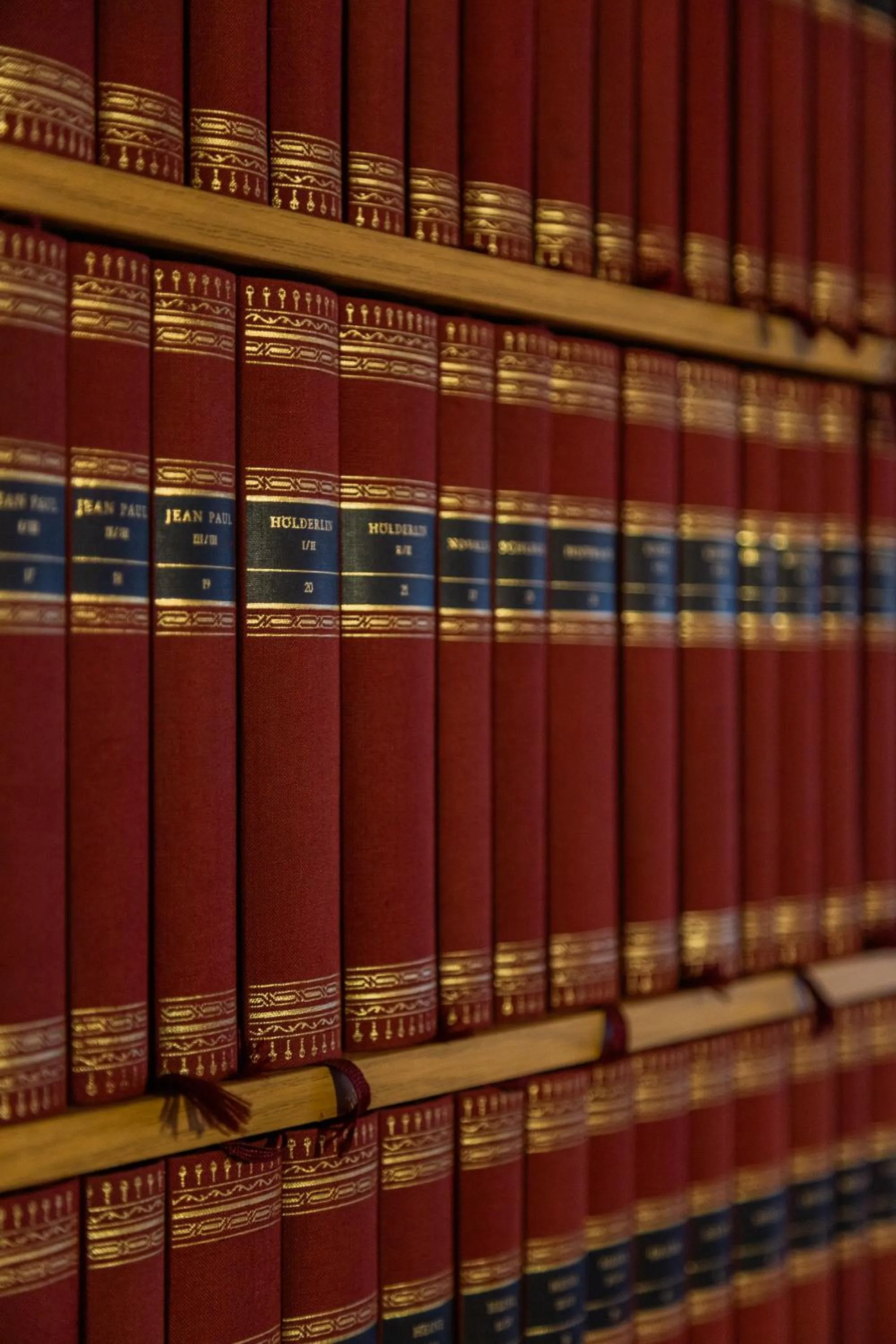 Library in Kunst- und Naturfreundehaus Brünig