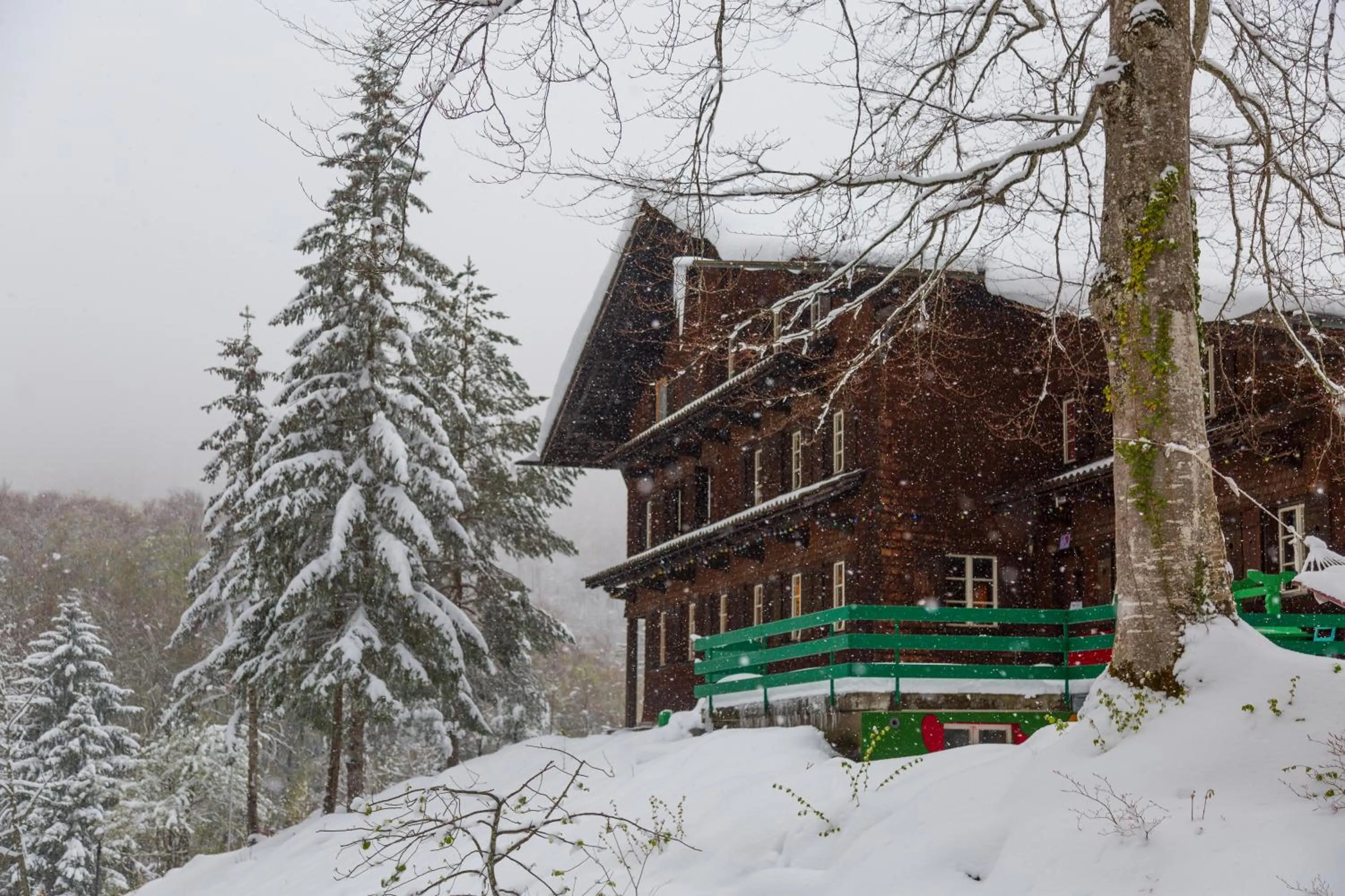 Property building in Kunst- und Naturfreundehaus Brünig