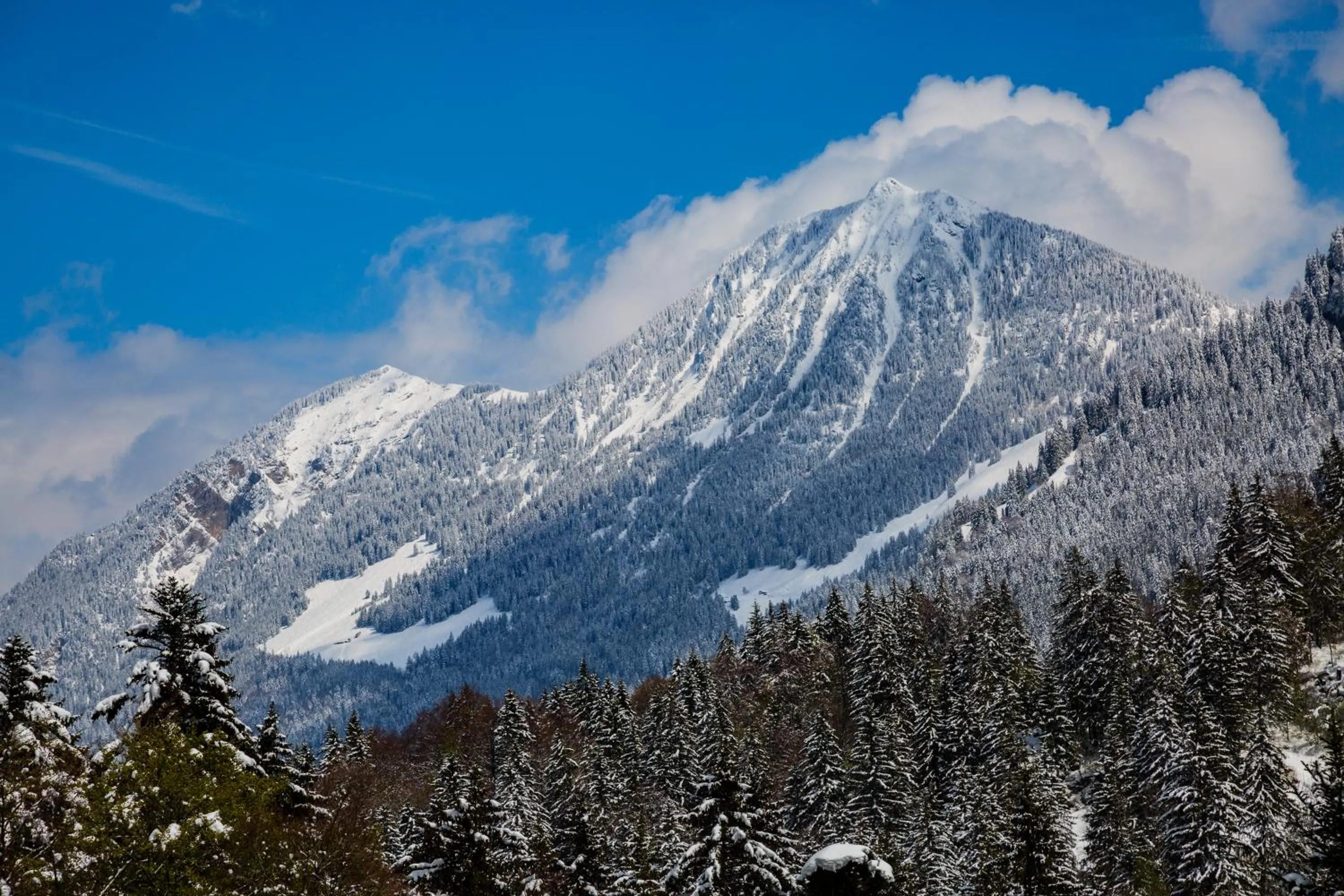Kunst- und Naturfreundehaus Brünig