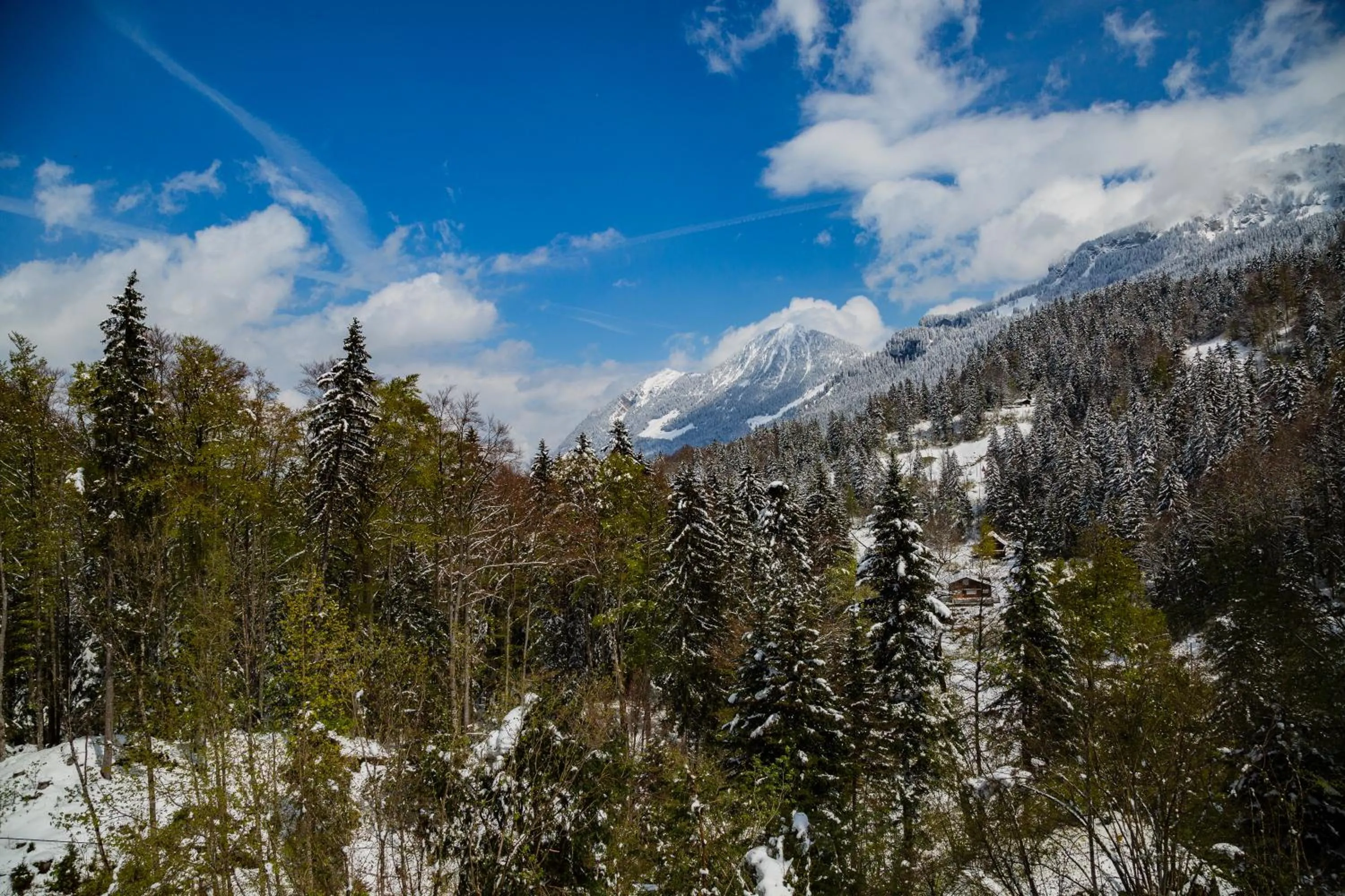 Kunst- und Naturfreundehaus Brünig