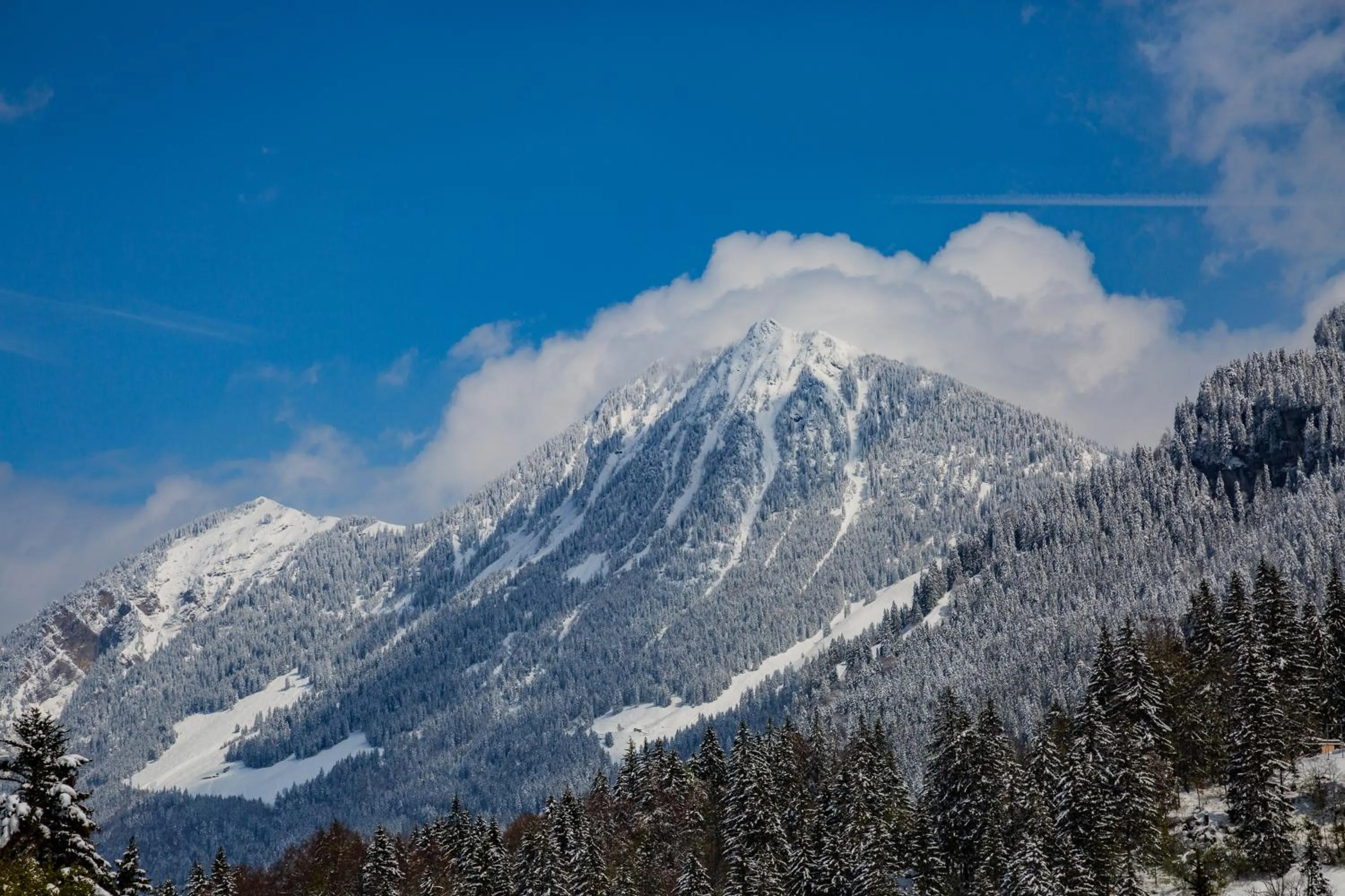 Day in Kunst- und Naturfreundehaus Brünig