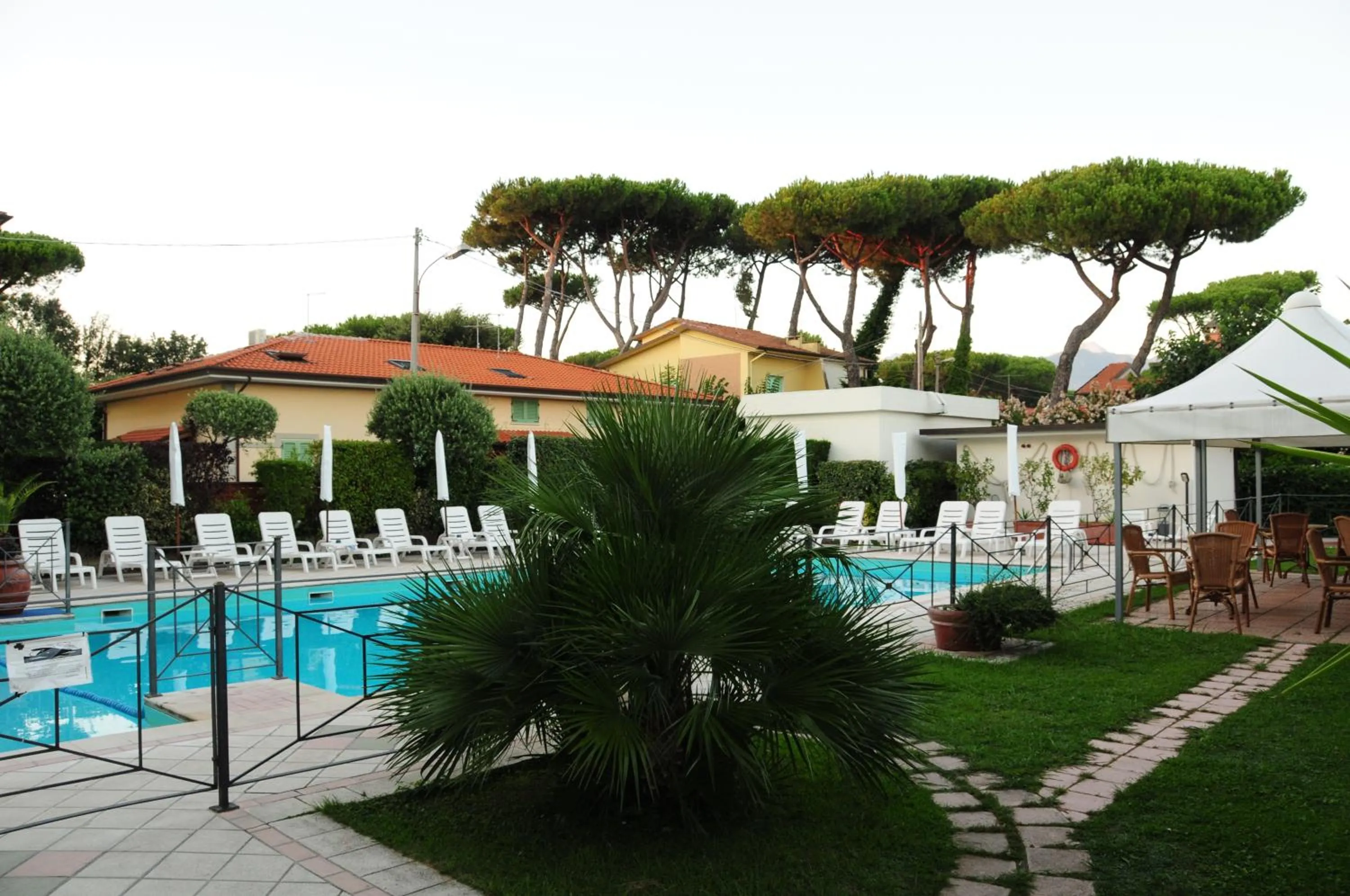Garden in Hotel Suisse