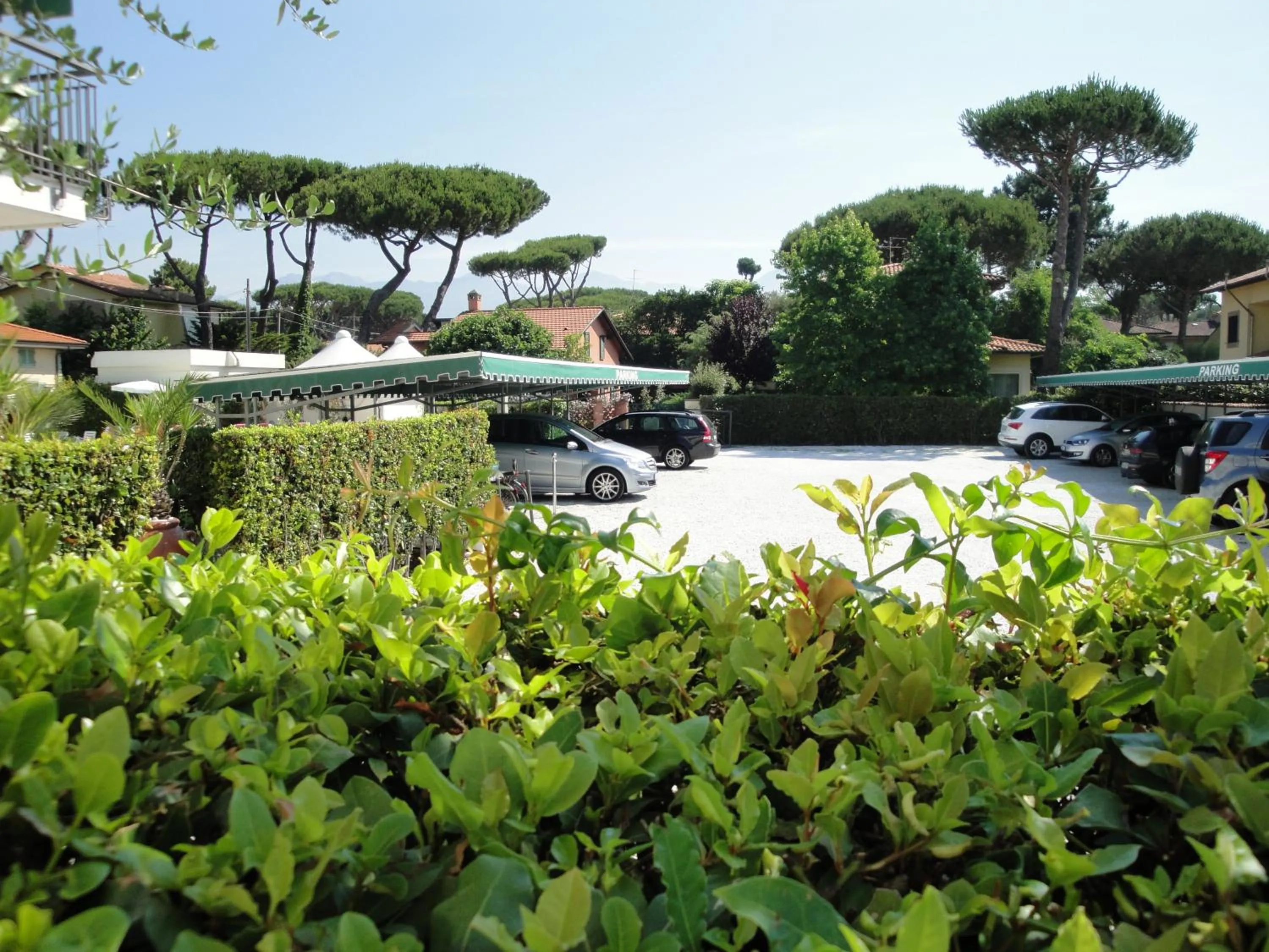 Area and facilities in Hotel Suisse