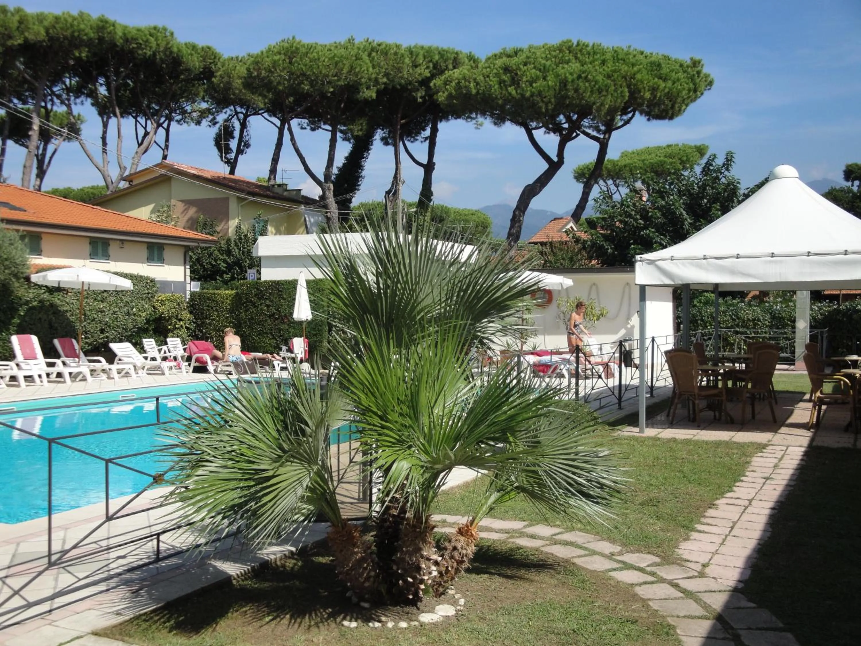 Garden in Hotel Suisse