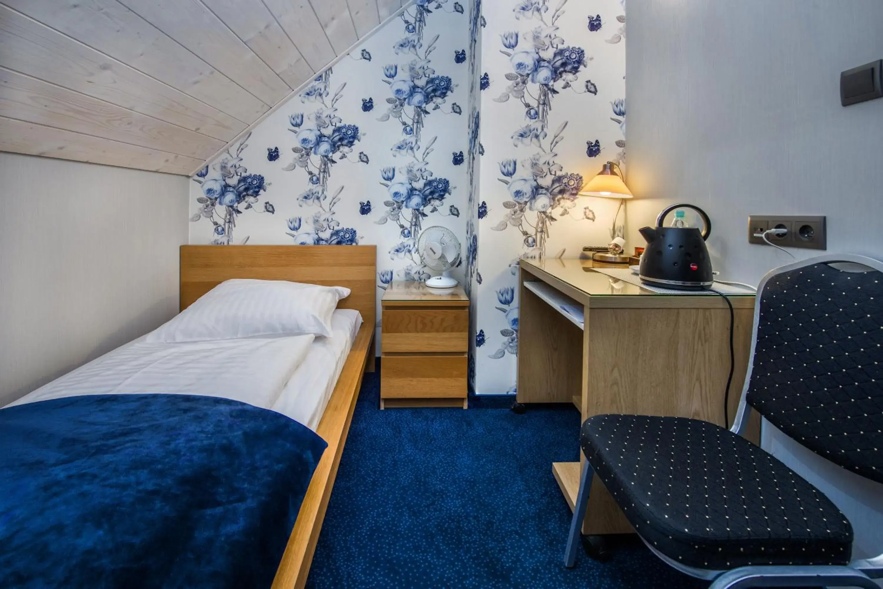 Single Room - single occupancy in Hotel Zalesie Single Room - single occupancy in Hotel Zalesie