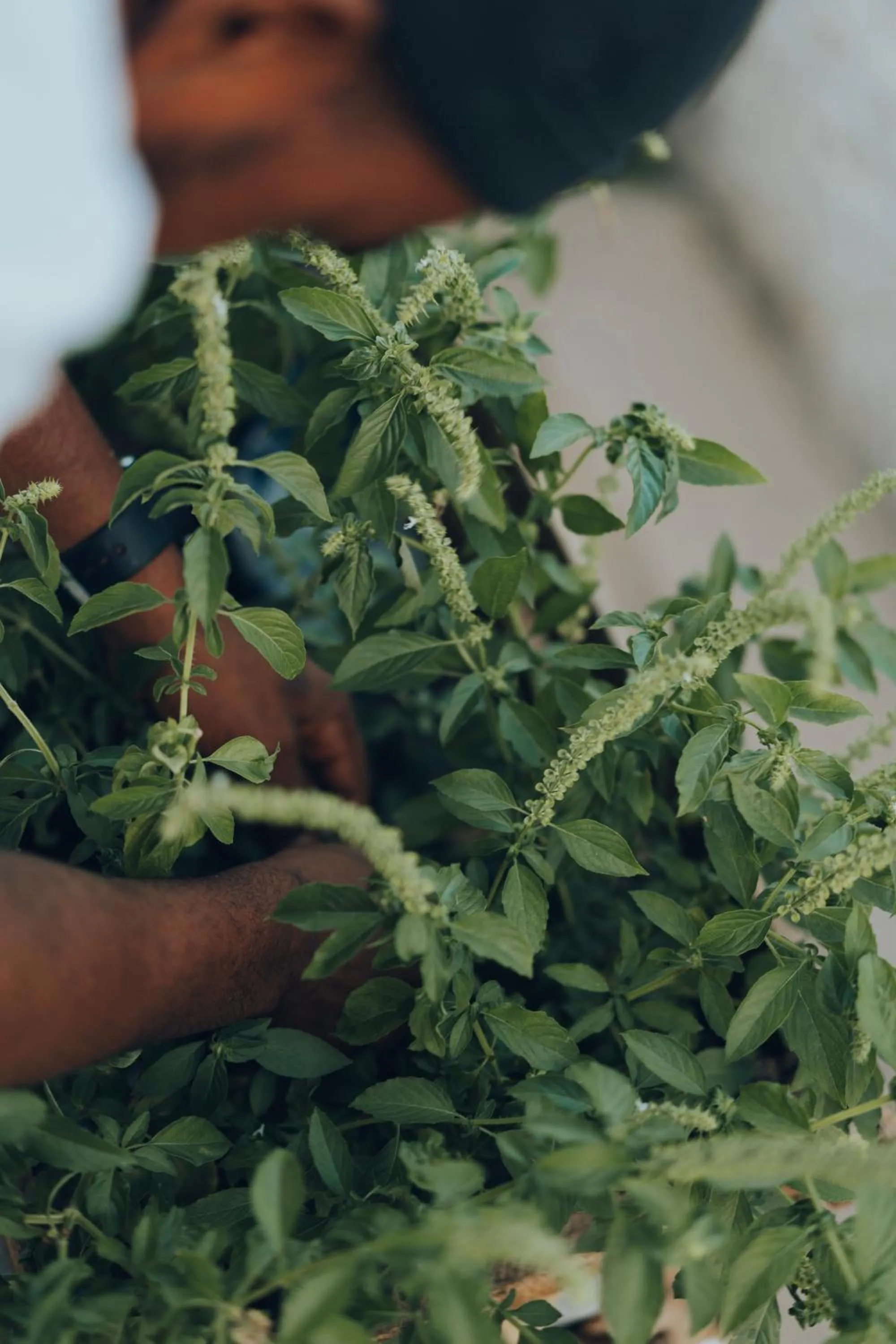 Staff in BaraBara Eat&Sleep