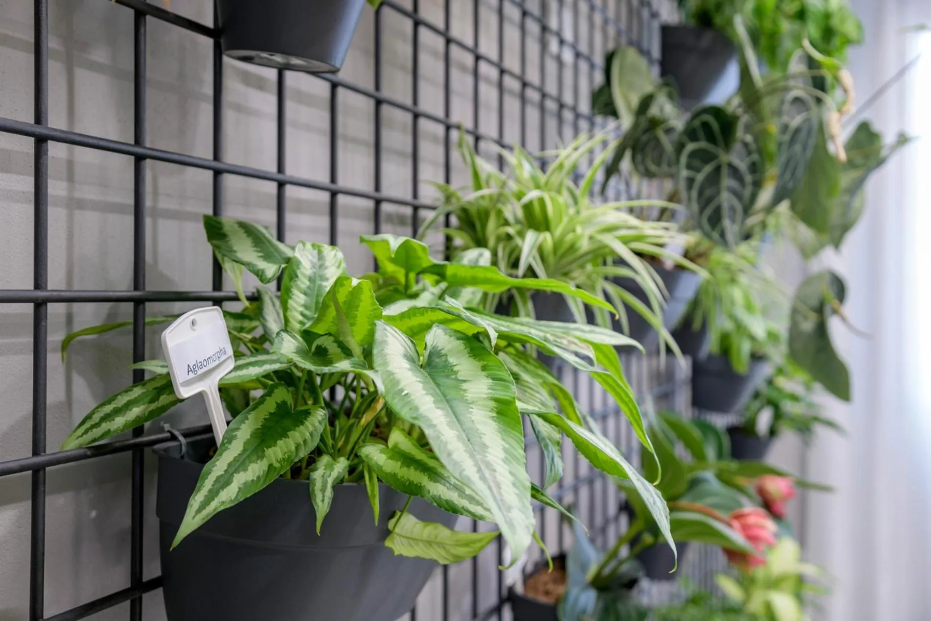 hair dresser in Hotel Bareta