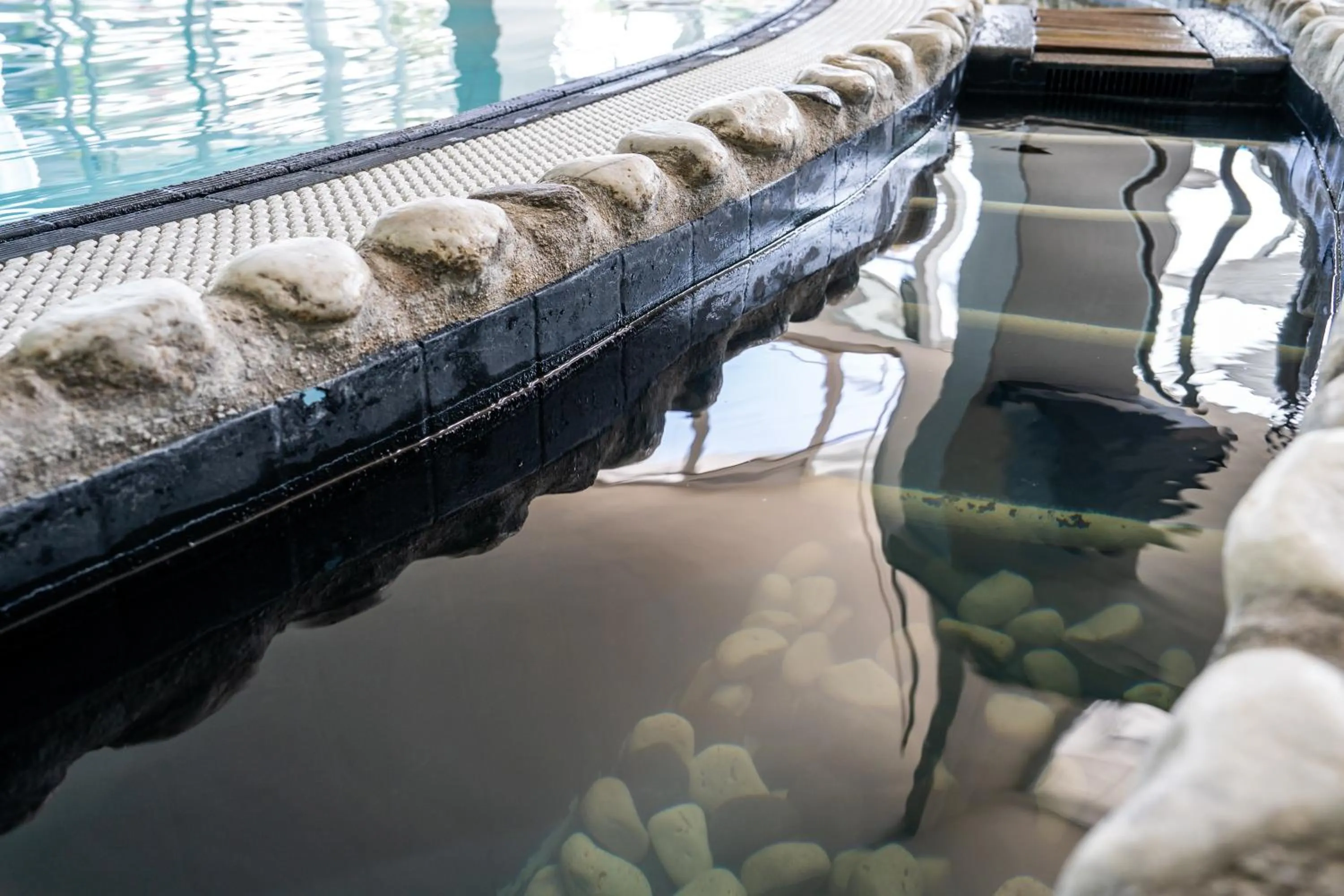 Spa and wellness centre/facilities in Plaza Hotel Abano Terme