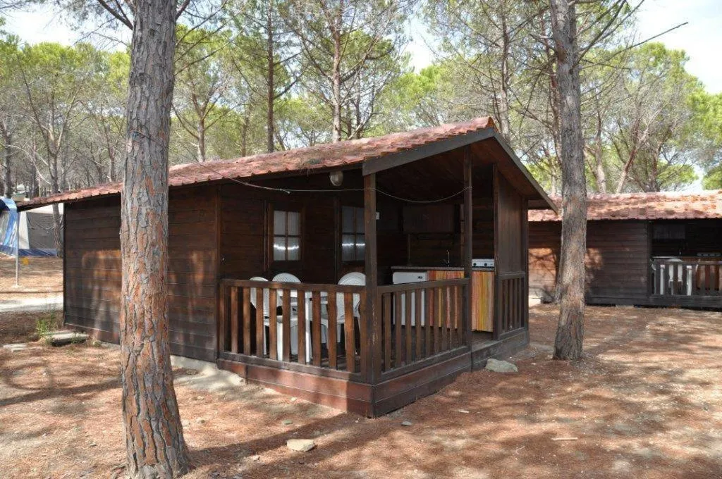 Photo of the whole room in Villaggio Camping Calapineta