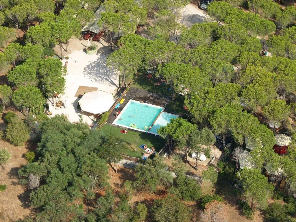Swimming pool in Villaggio Camping Calapineta