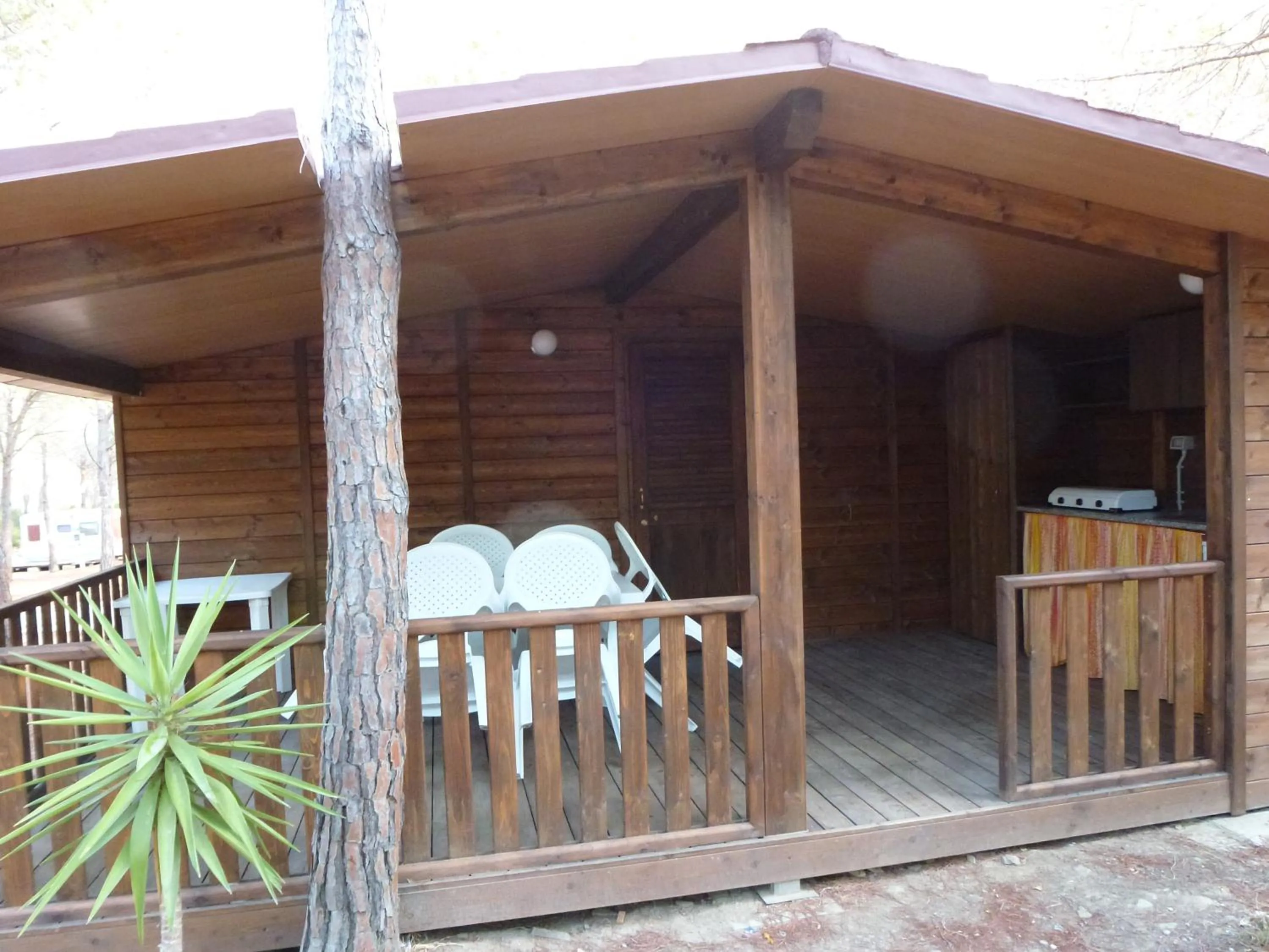 Photo of the whole room in Villaggio Camping Calapineta