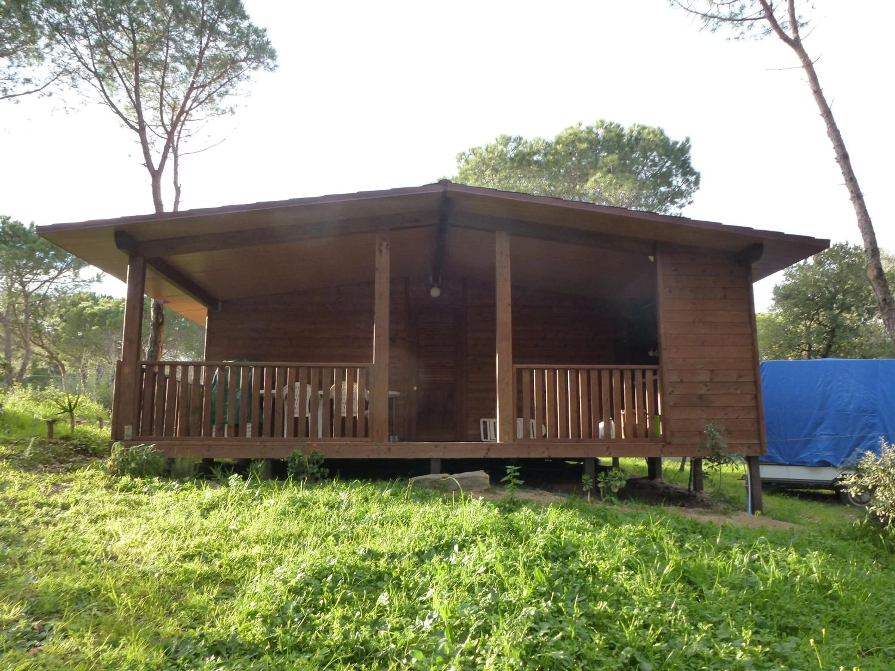 Photo of the whole room in Villaggio Camping Calapineta