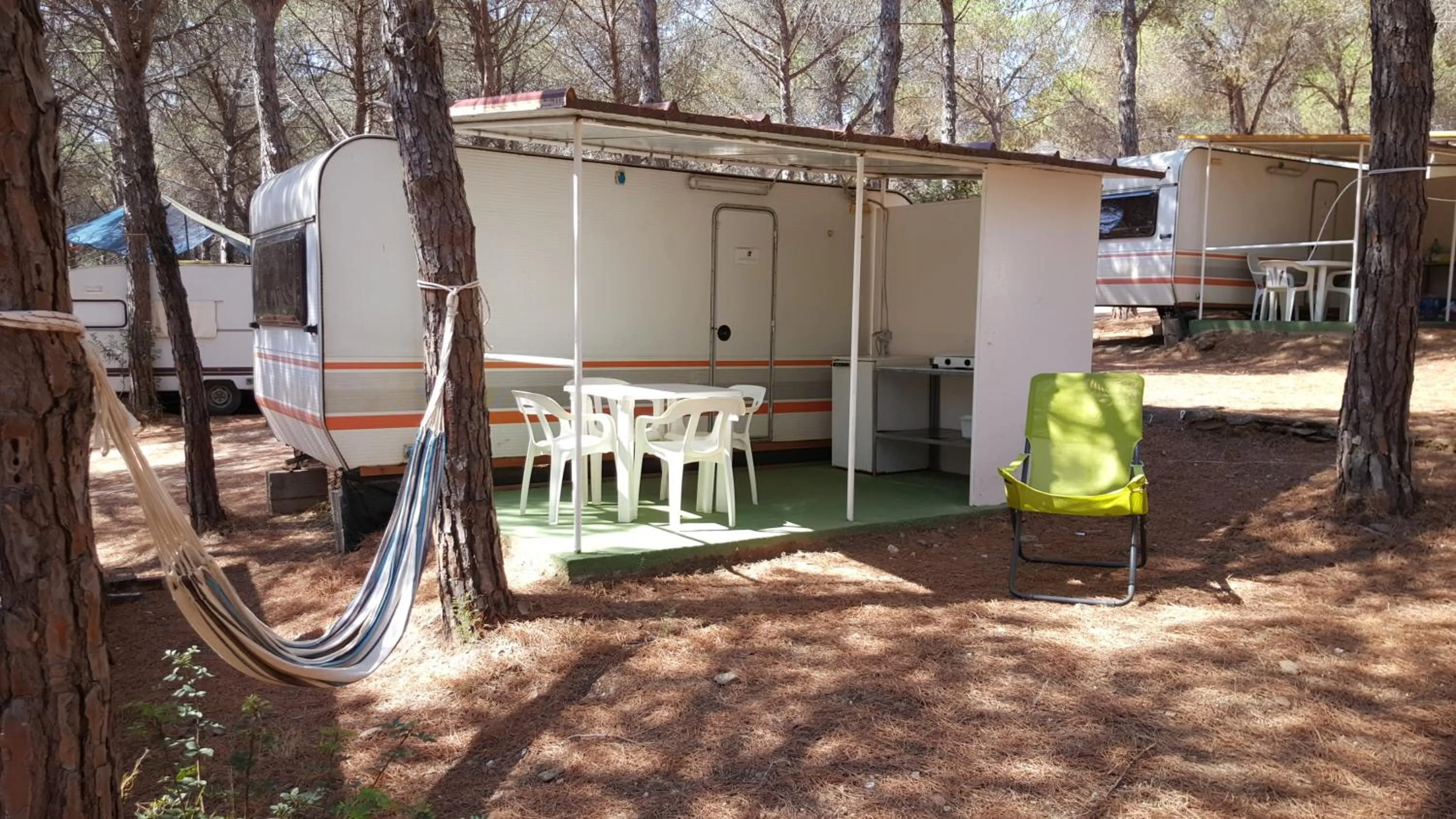 Photo of the whole room in Villaggio Camping Calapineta
