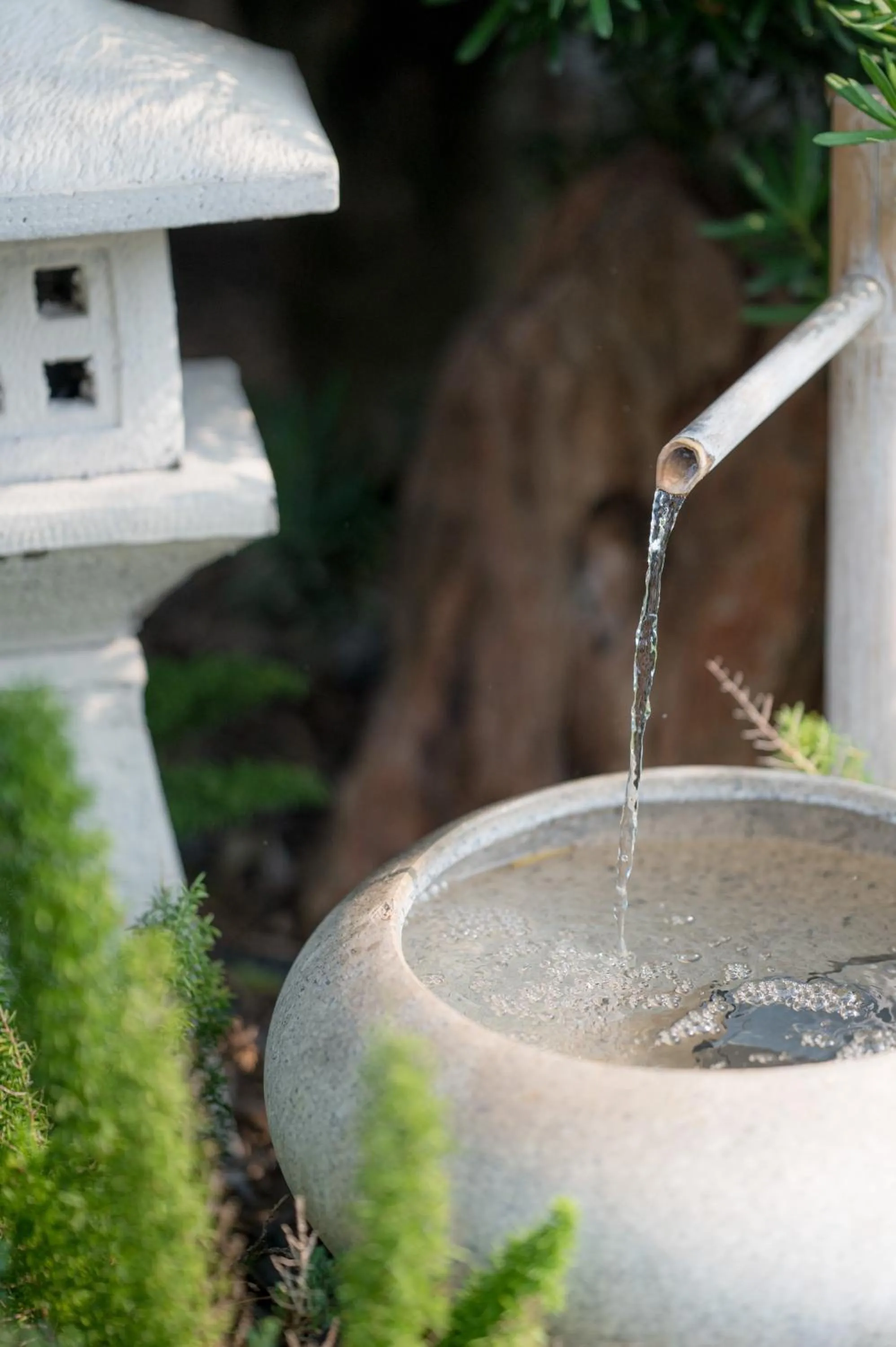Mayuu Ayutthaya Hotel