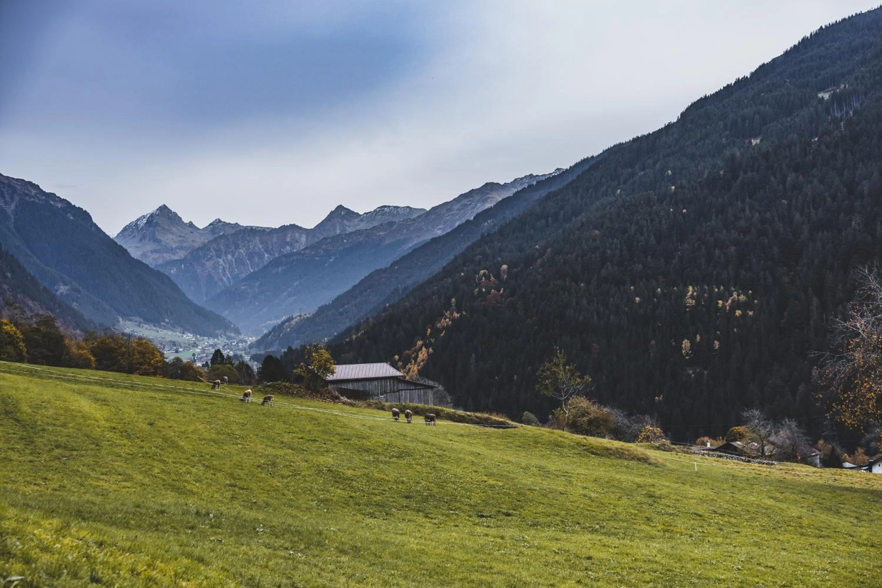 Natural landscape in Tante Anna Retreats