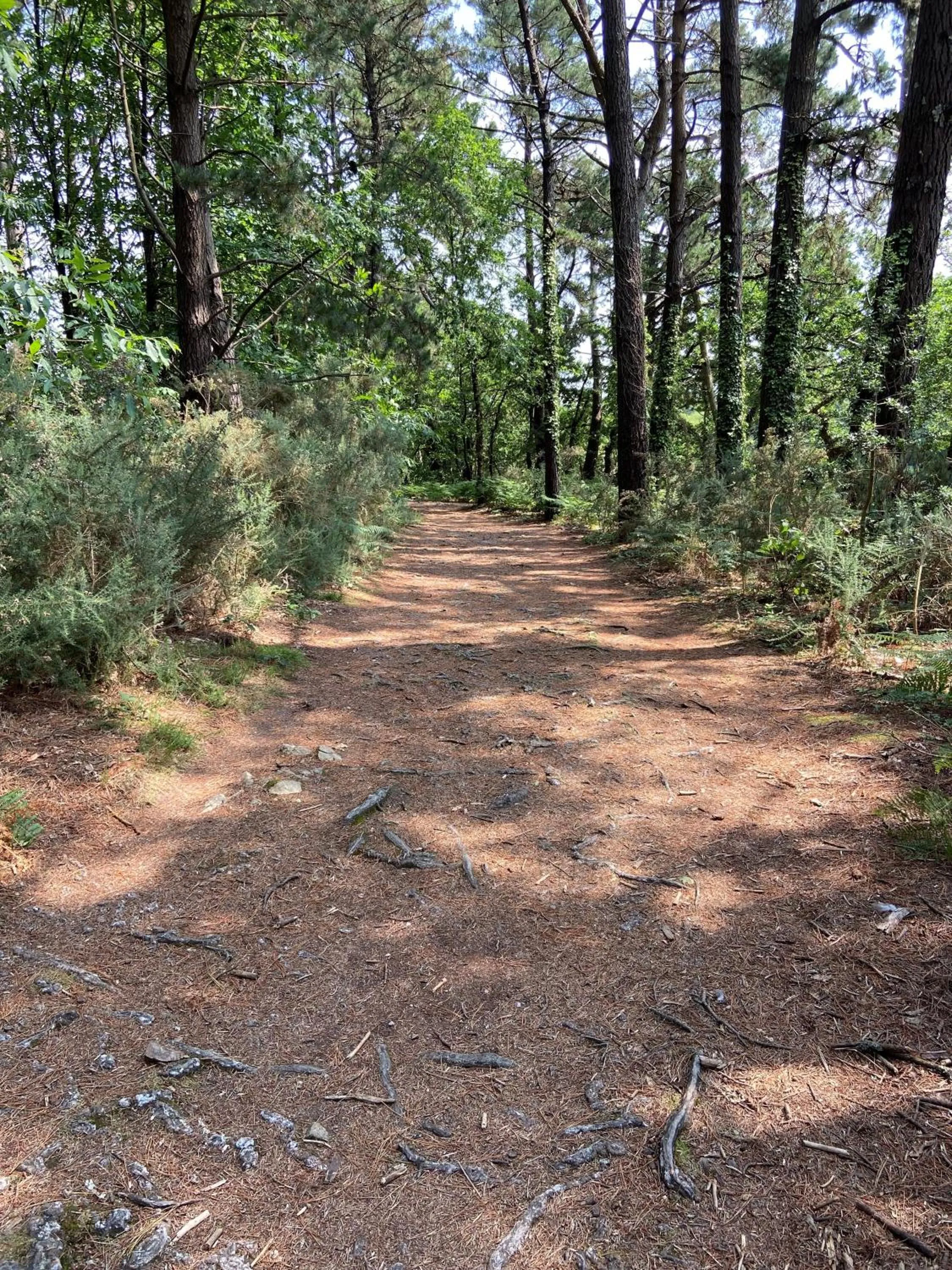 Off site in Résidence Ti An Amiral