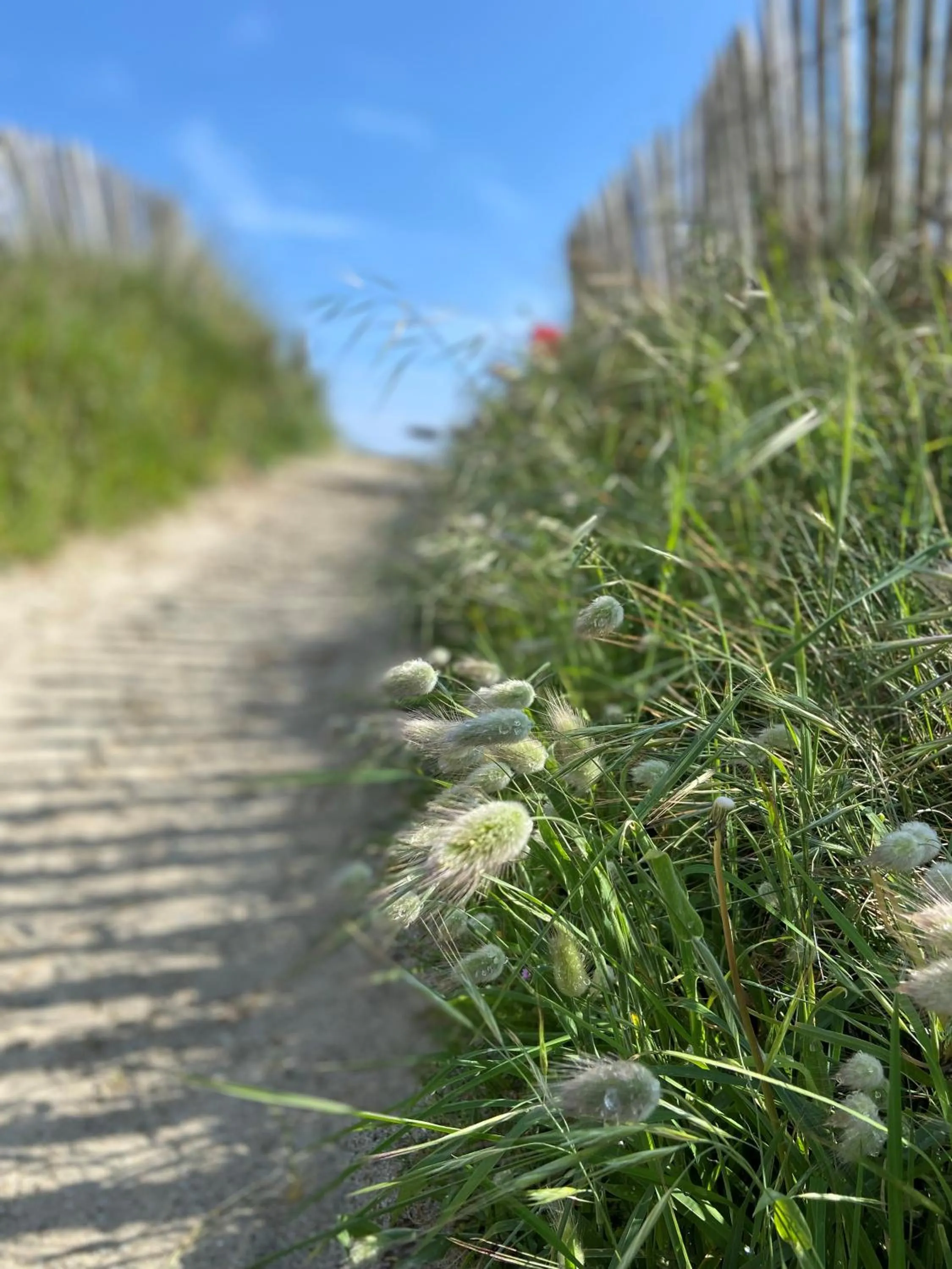 Beach in Résidence Ti An Amiral