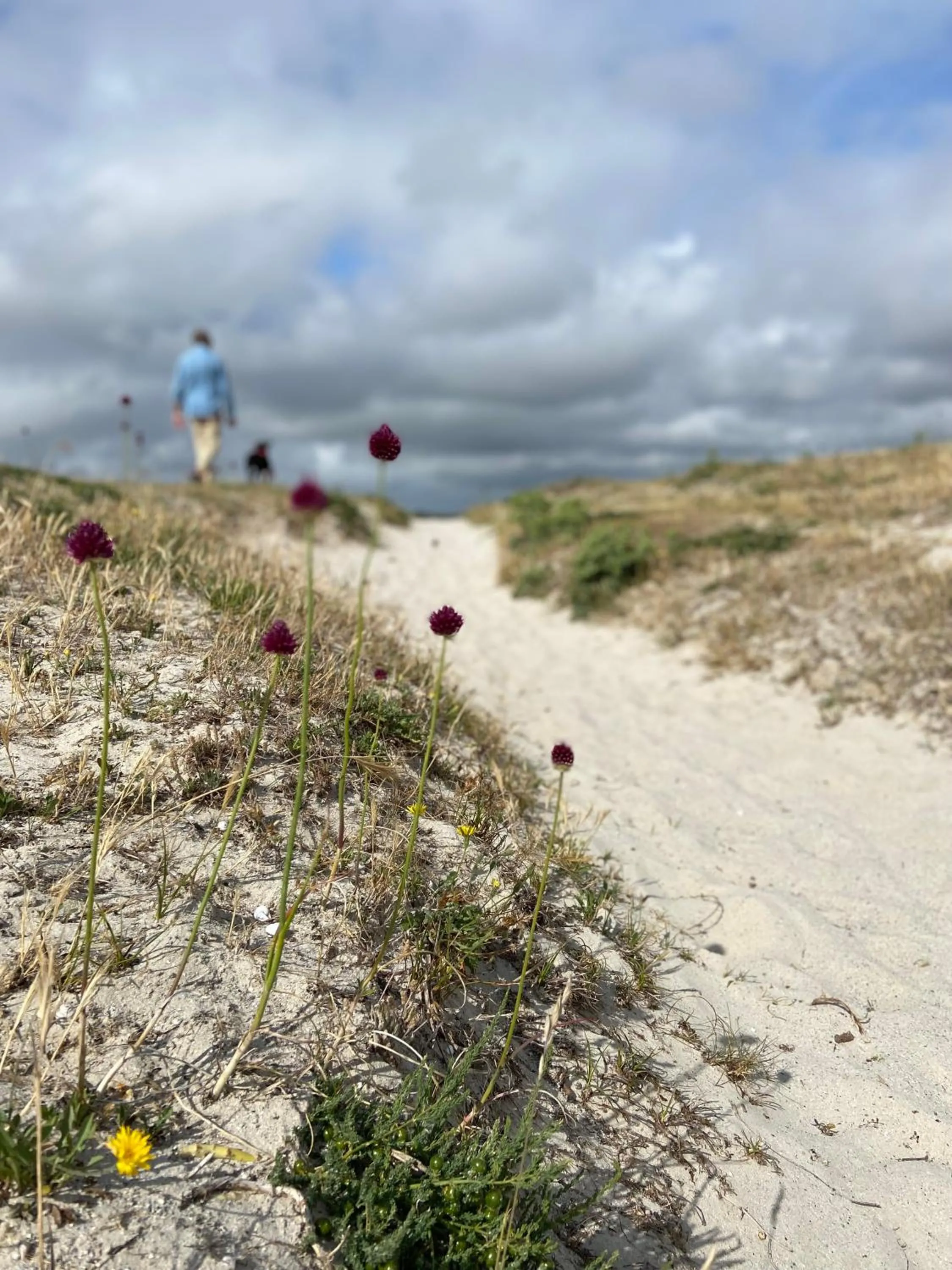 Beach in Résidence Ti An Amiral