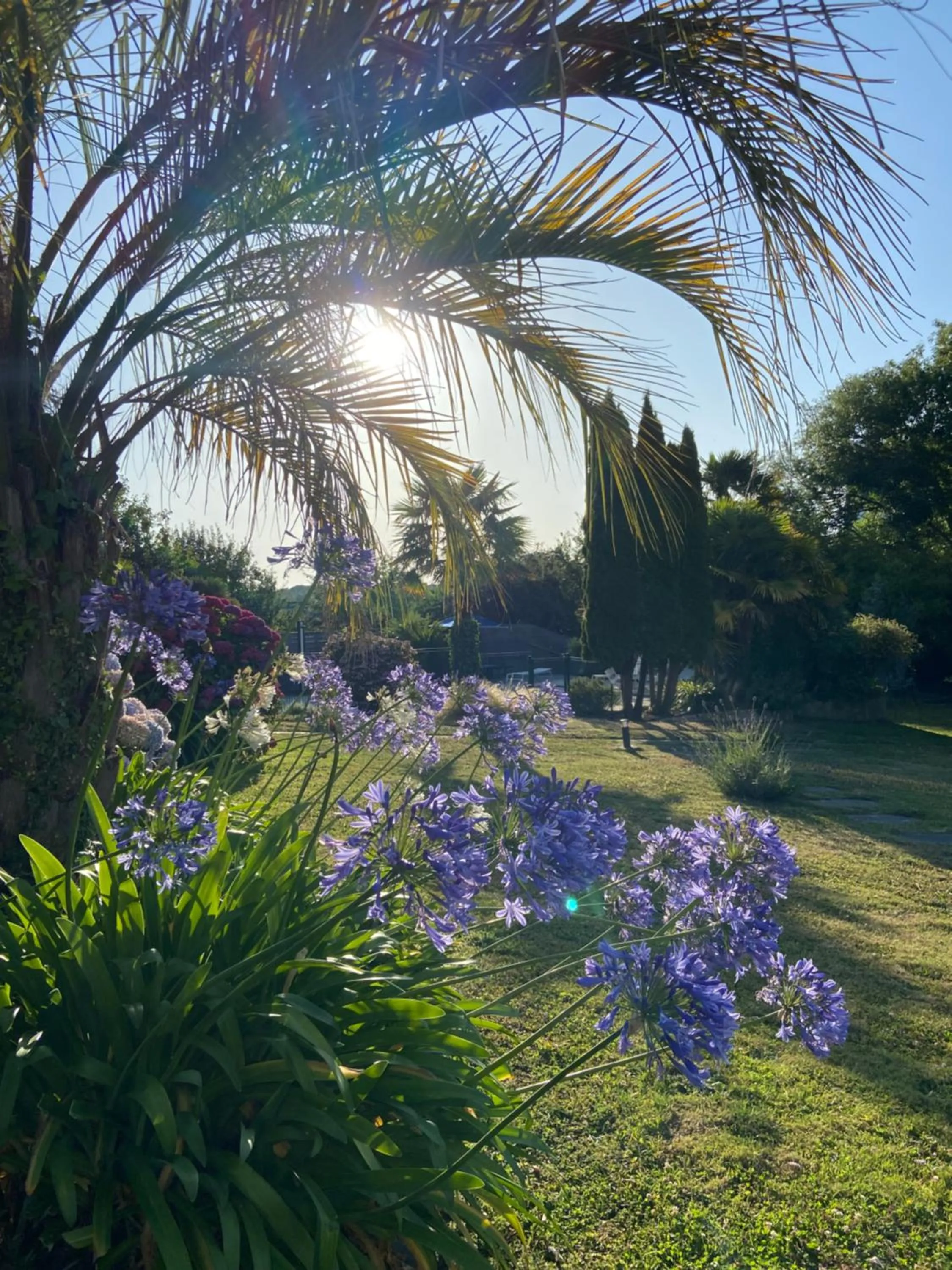 Garden in Résidence Ti An Amiral