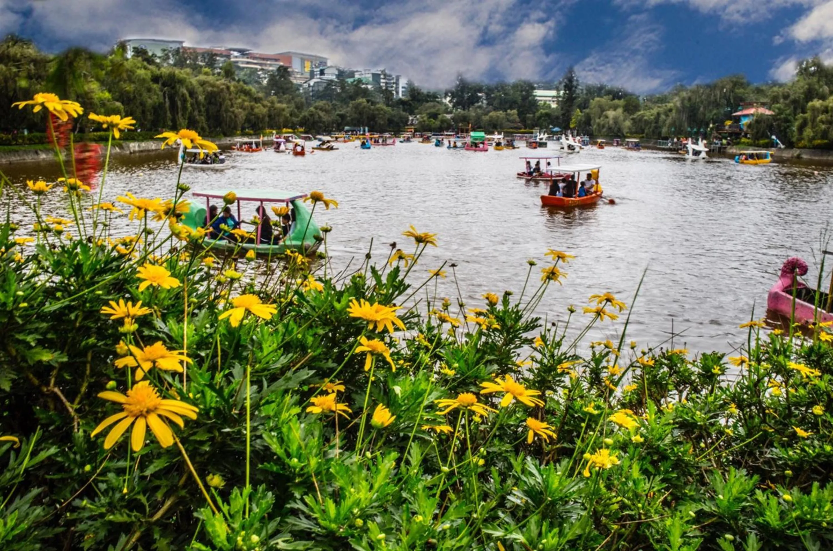 Property building in Campo Filipino Dormitelle powered by Cocotel