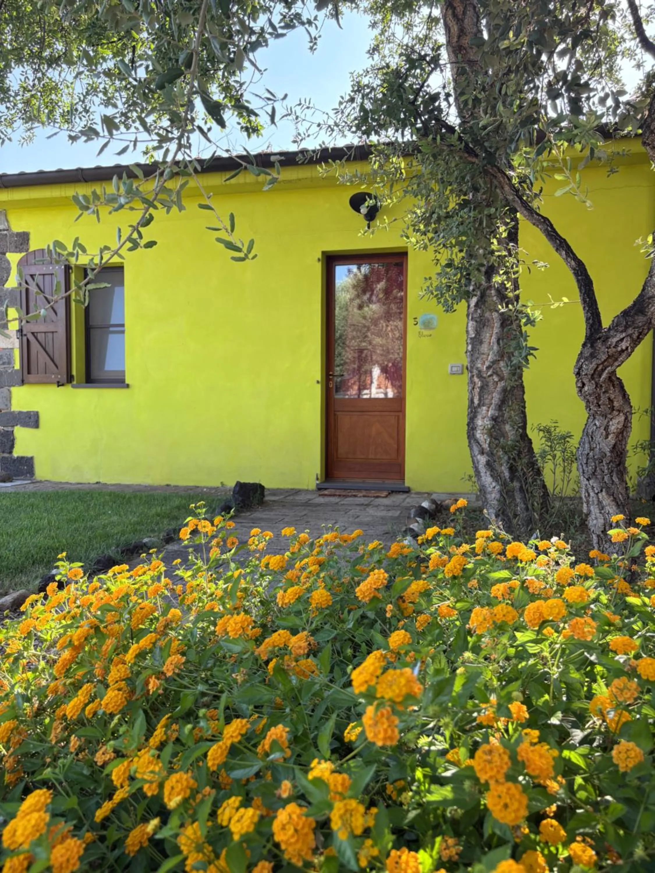 Property building in Lugh'e Luna Village