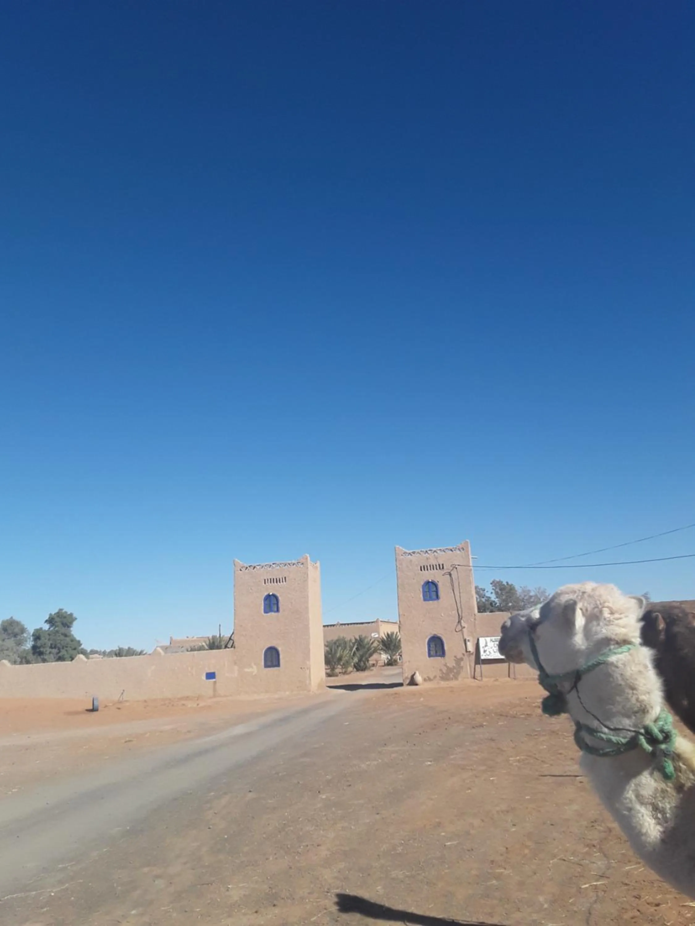 Landmark view in Hôtel Camping La Liberté