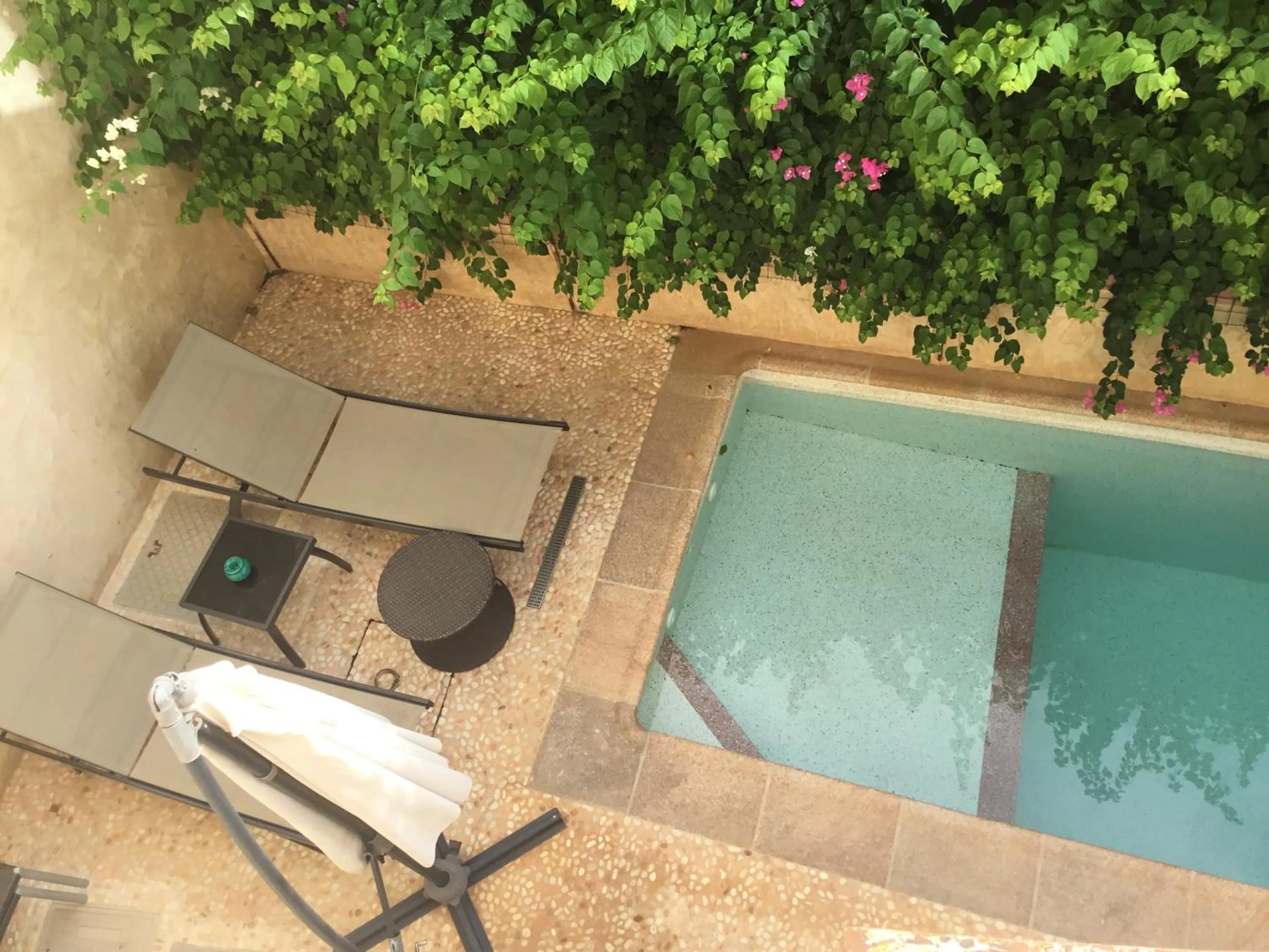 Other in HOTEL Le Clos Des Papillons