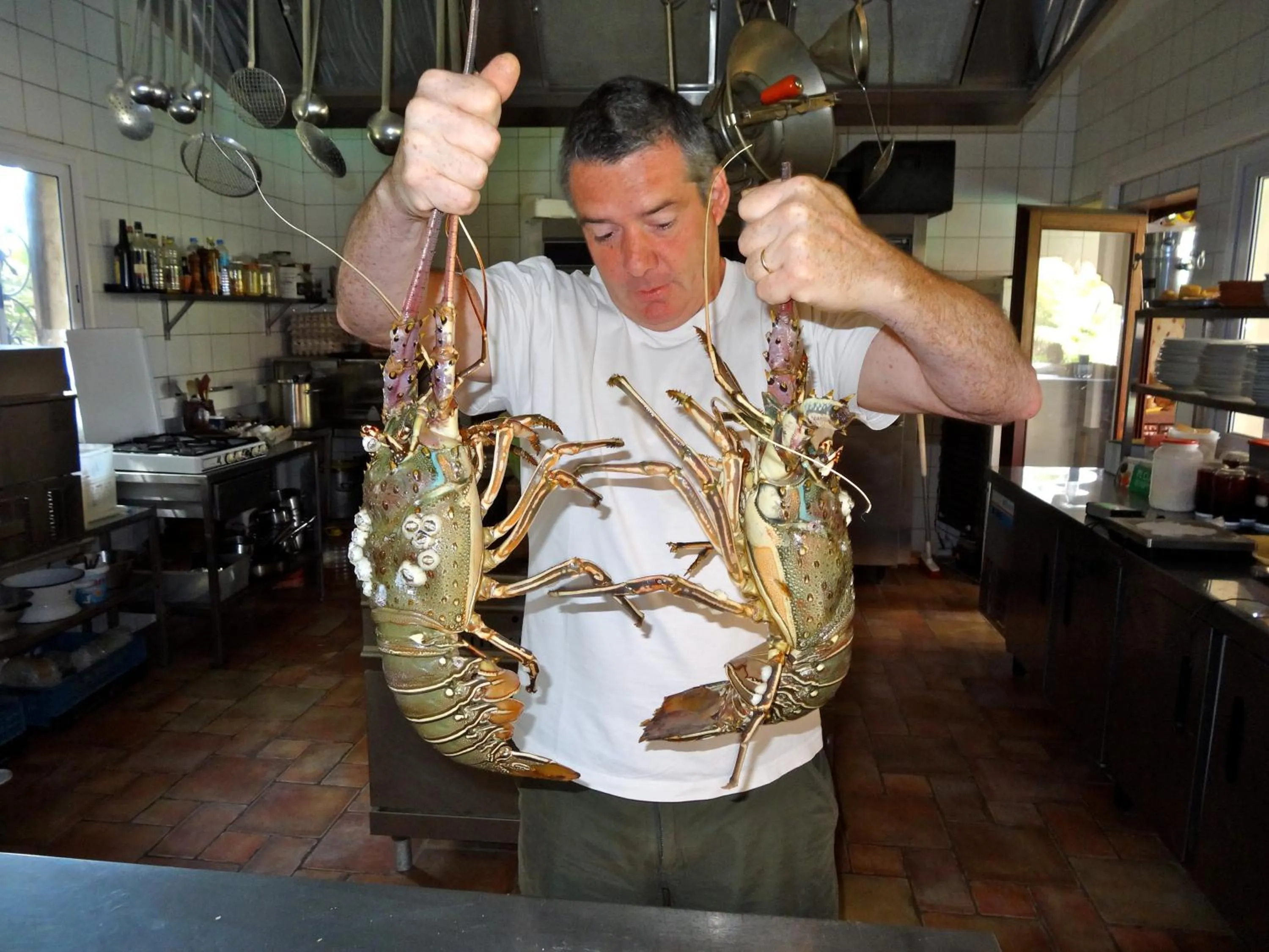 Restaurant/places to eat in HOTEL Le Clos Des Papillons