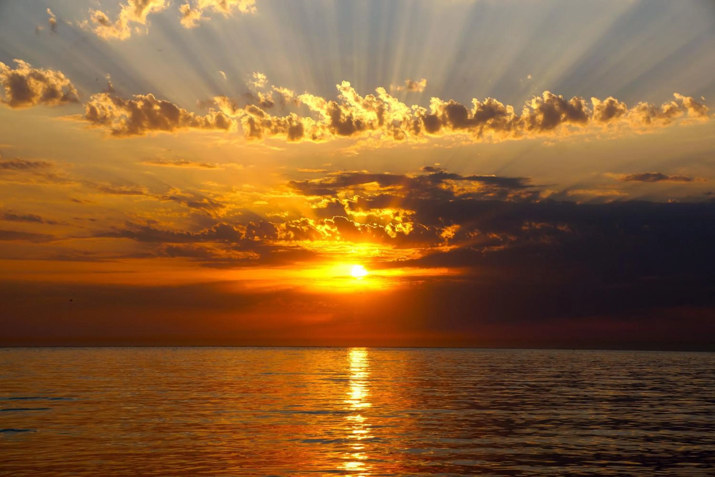 View (from property/room) in HOTEL Le Clos Des Papillons