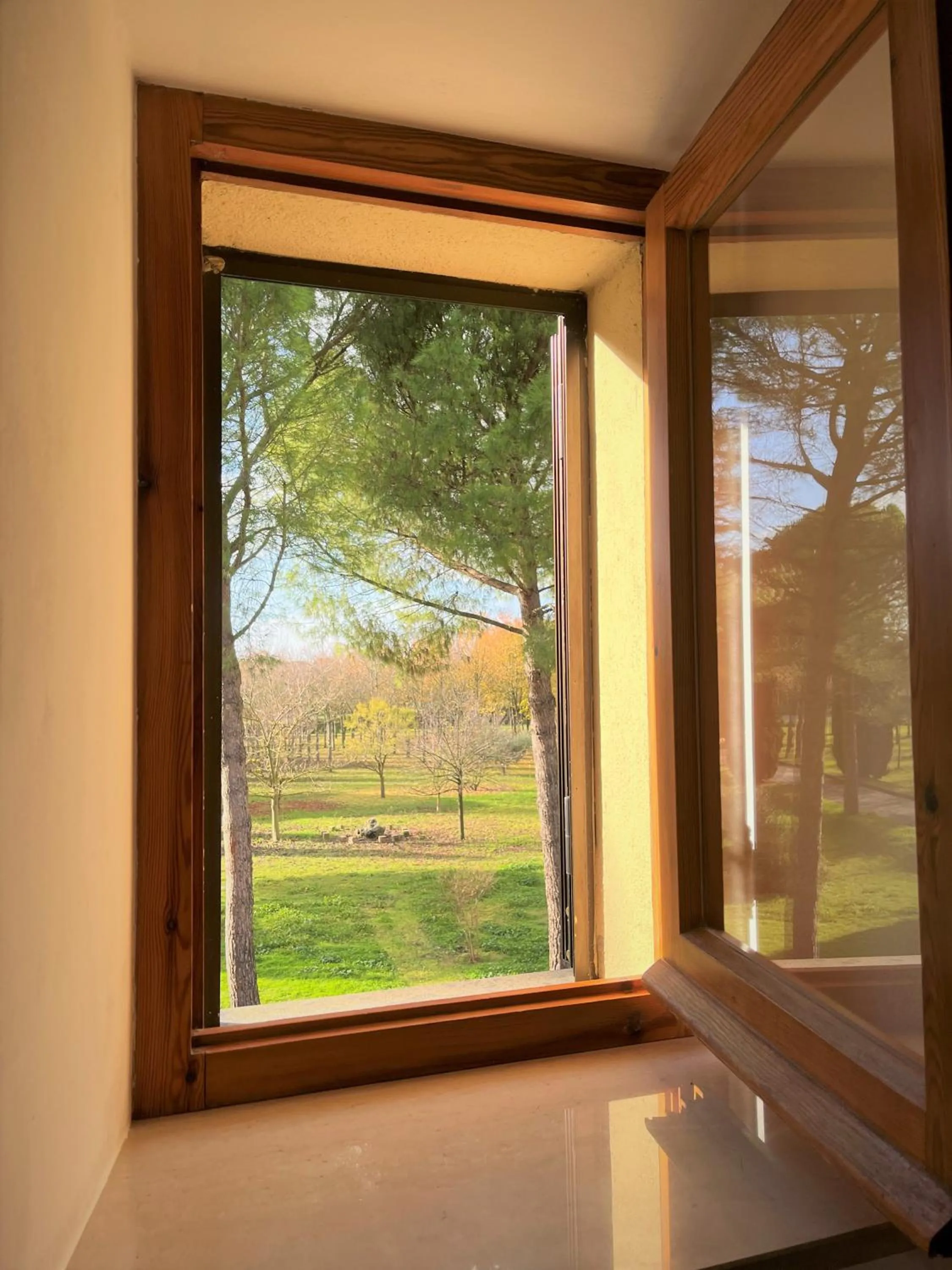 View (from property/room) in Hotel La Torretta