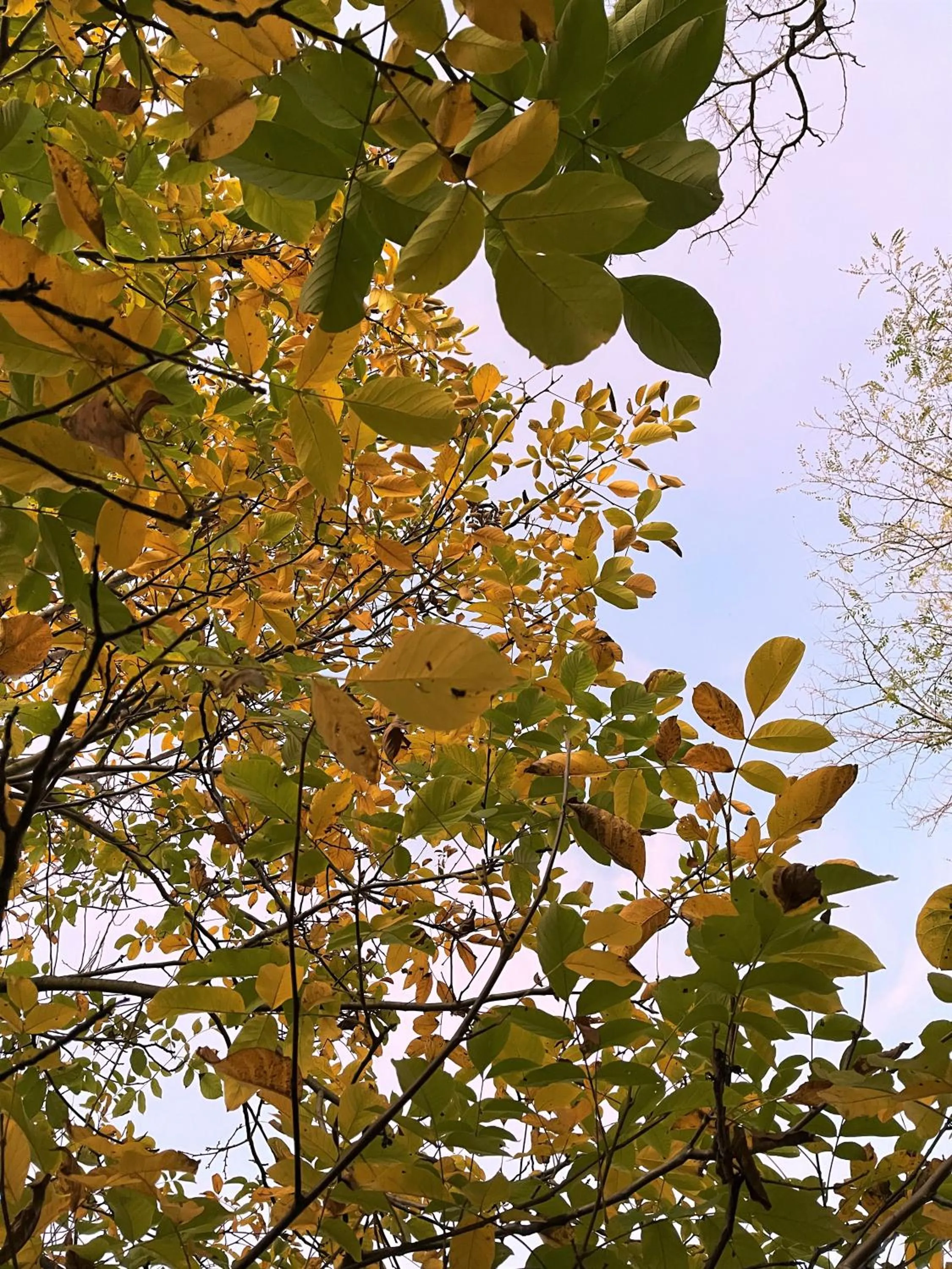 Natural landscape in Hotel La Torretta