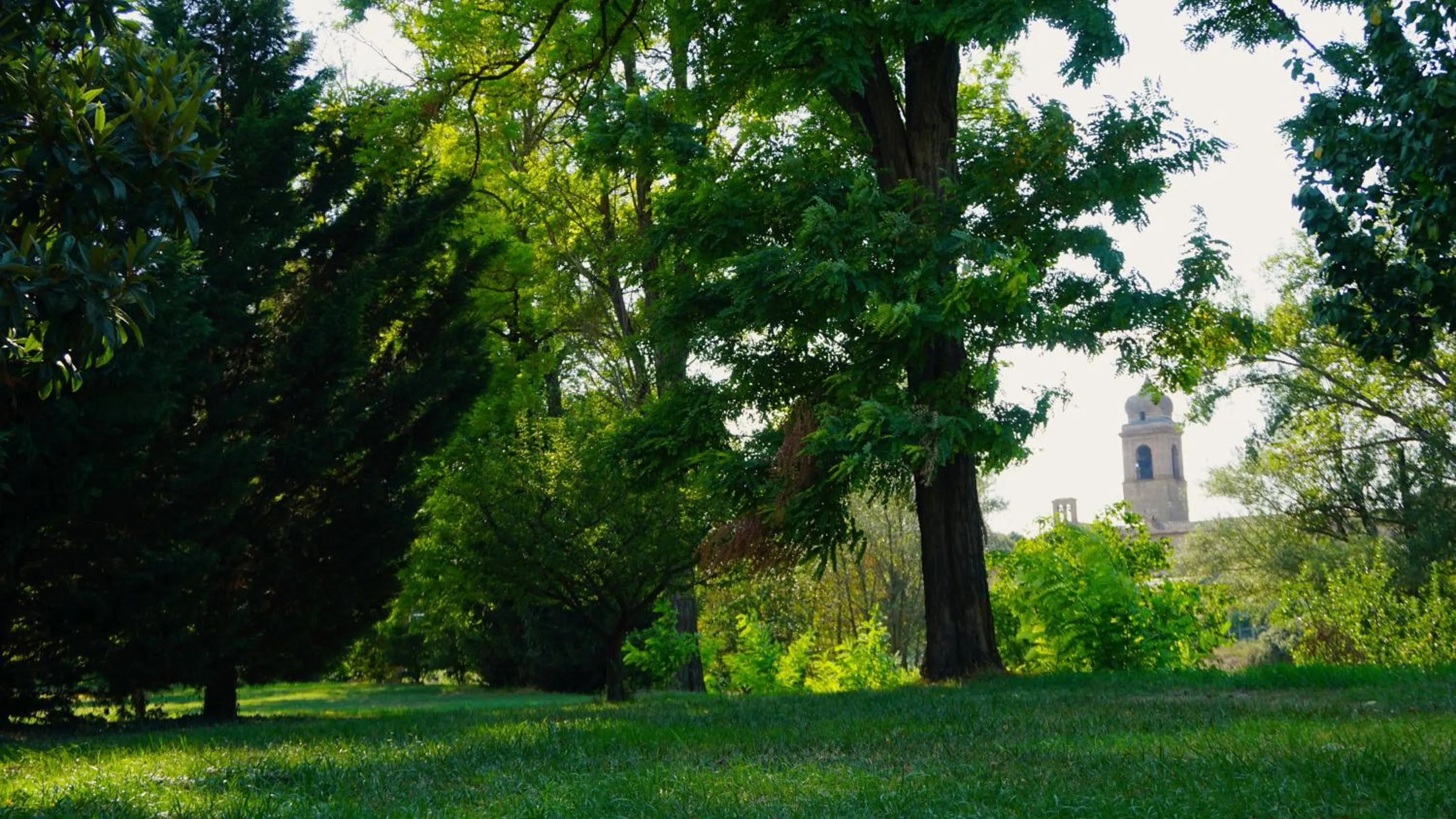 Natural landscape in Hotel La Torretta