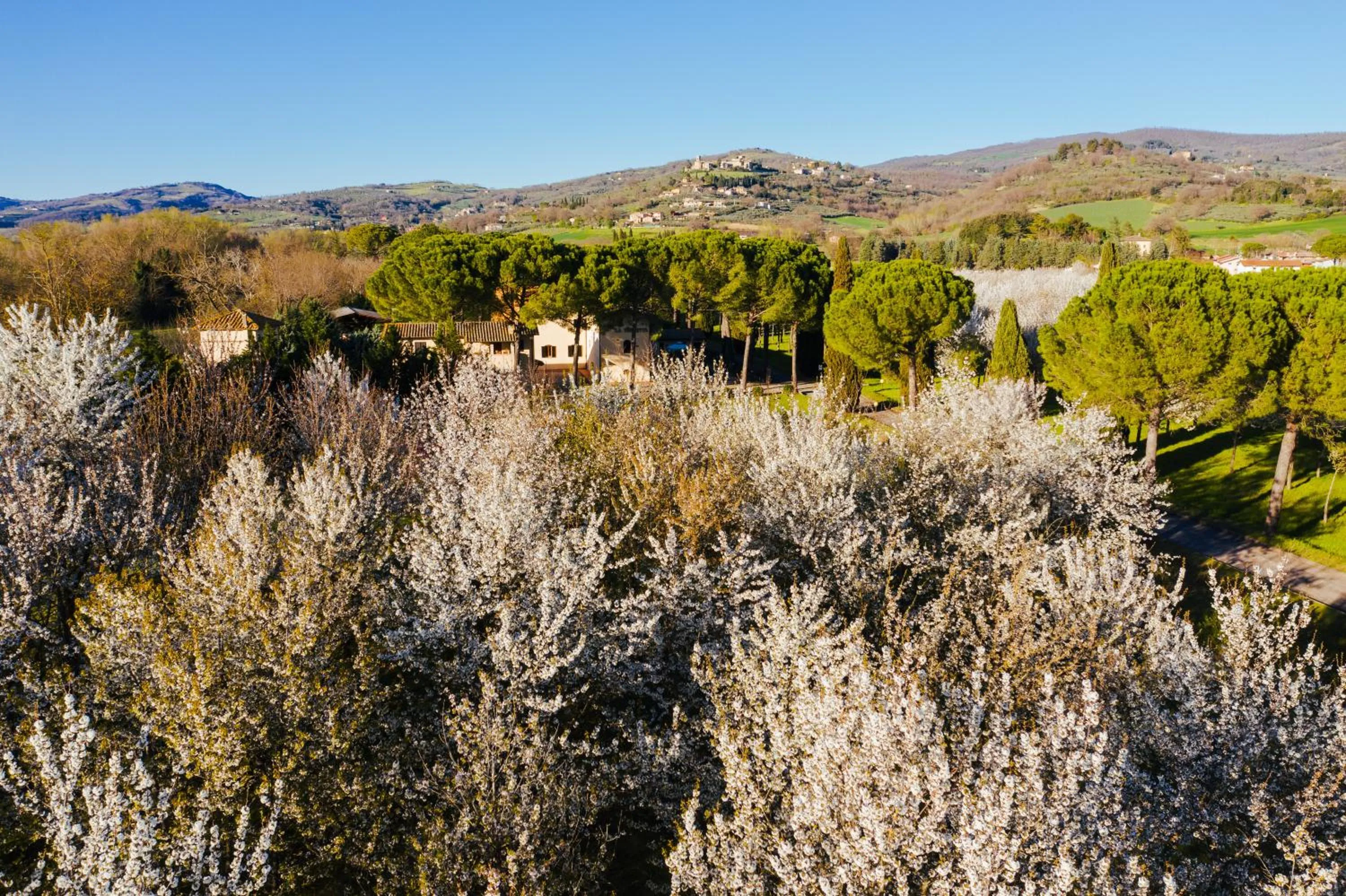 Spring in Hotel La Torretta