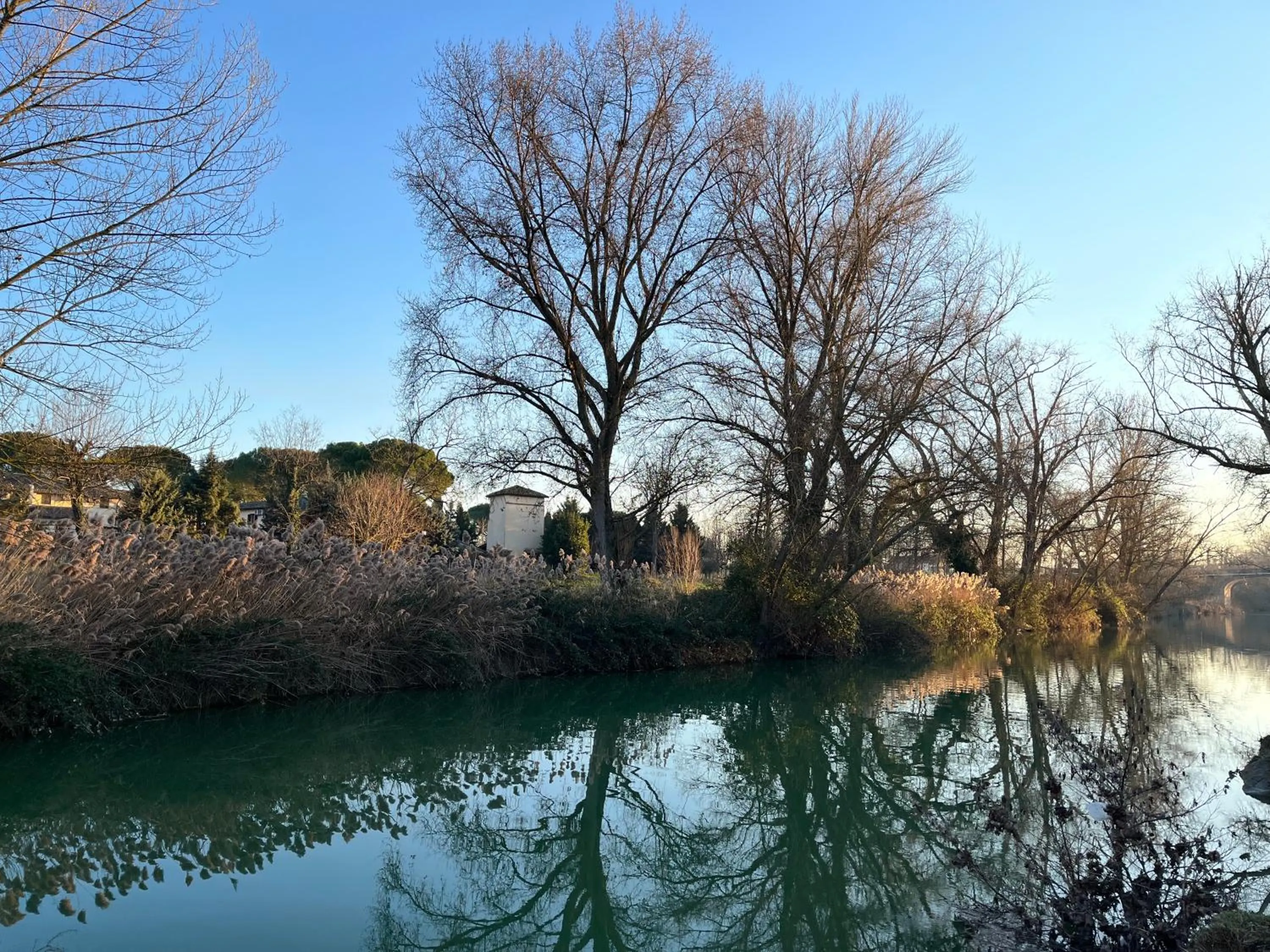 Natural landscape in Hotel La Torretta