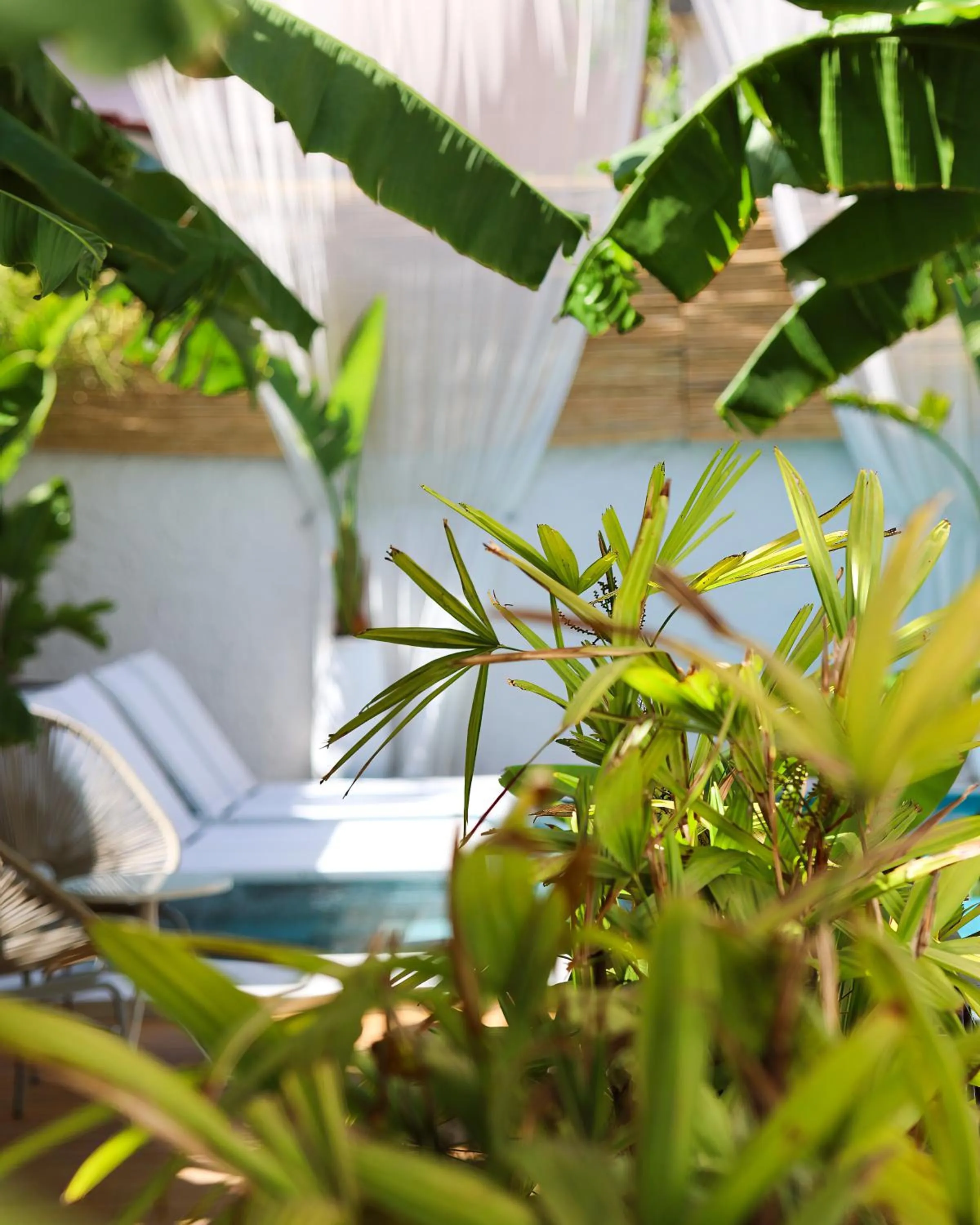 Garden view in Voger Alaçatı Köyiçi