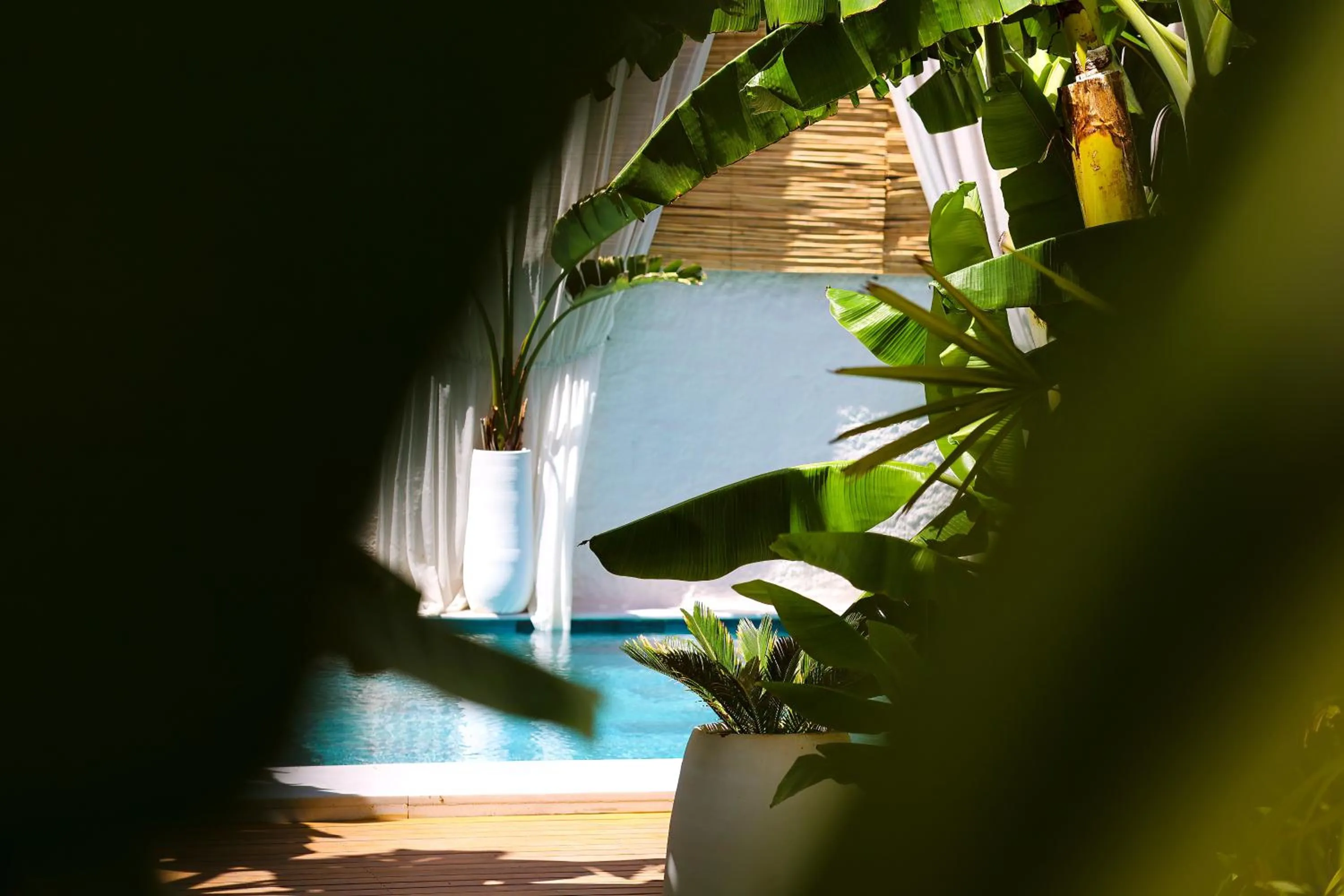 Garden in Voger Alaçatı Köyiçi