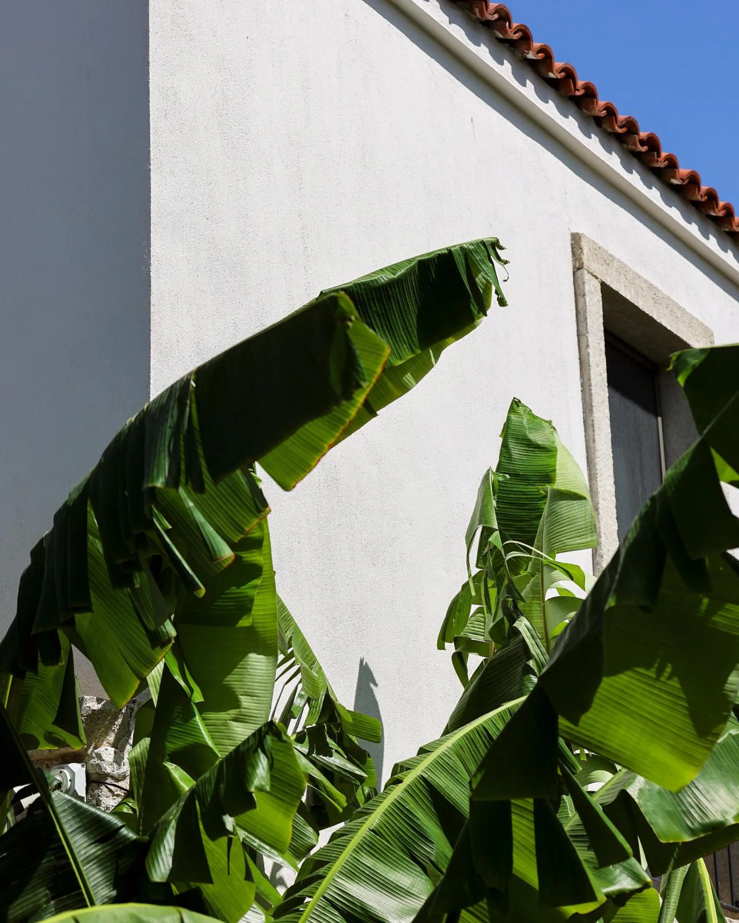 Property building in Voger Alaçatı Köyiçi