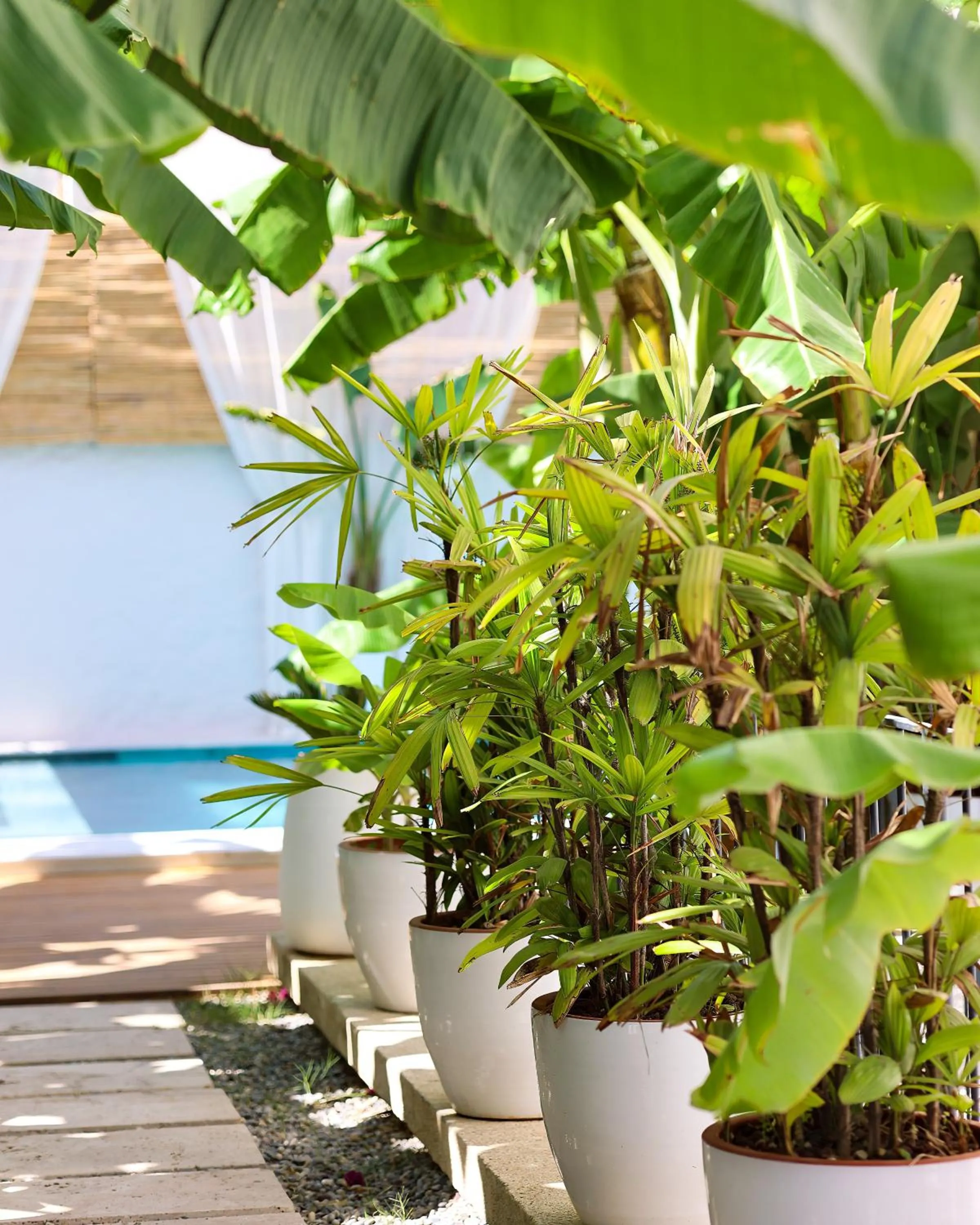 Garden view in Voger Alaçatı Köyiçi