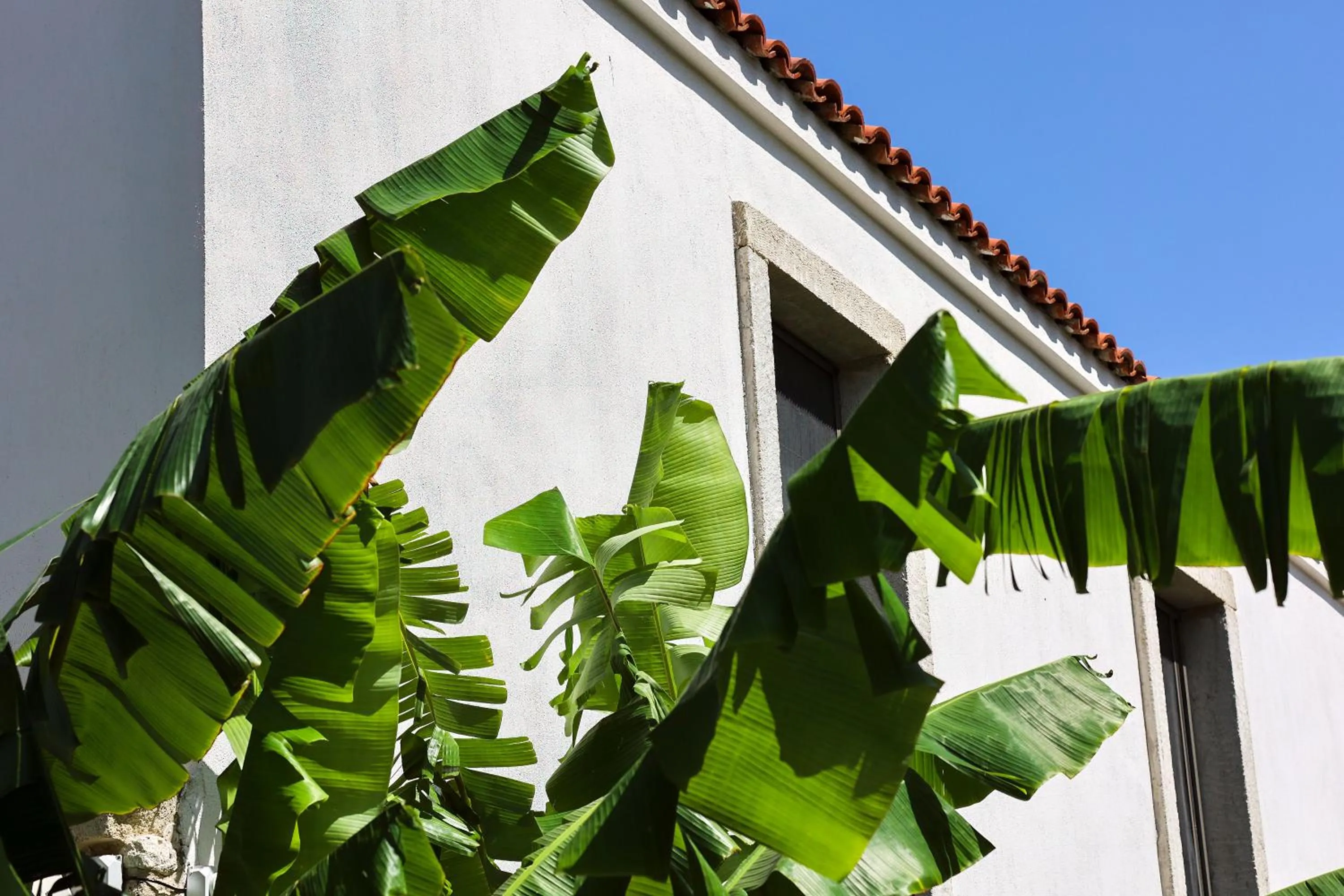 Property building in Voger Alaçatı Köyiçi