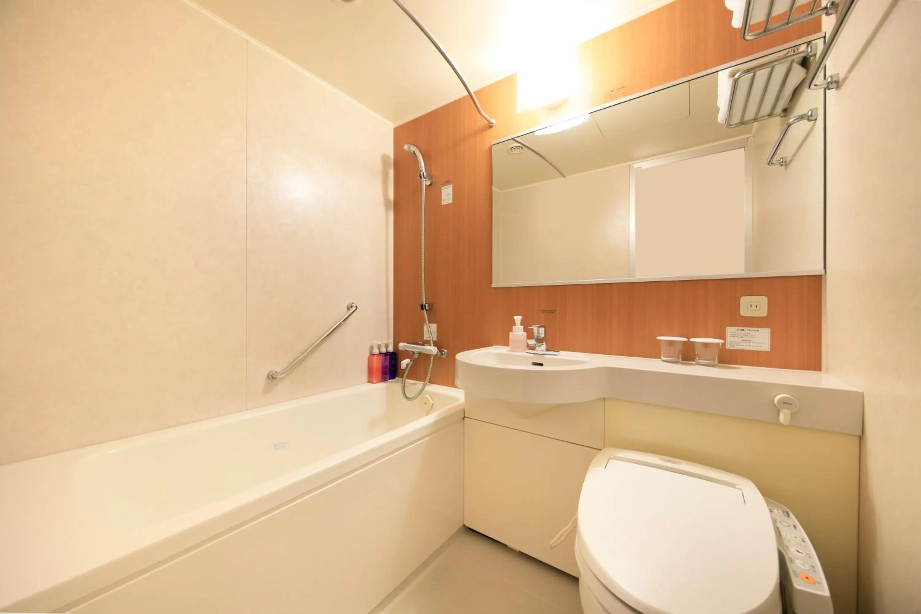 Bathroom in Richmond Hotel Matsumoto