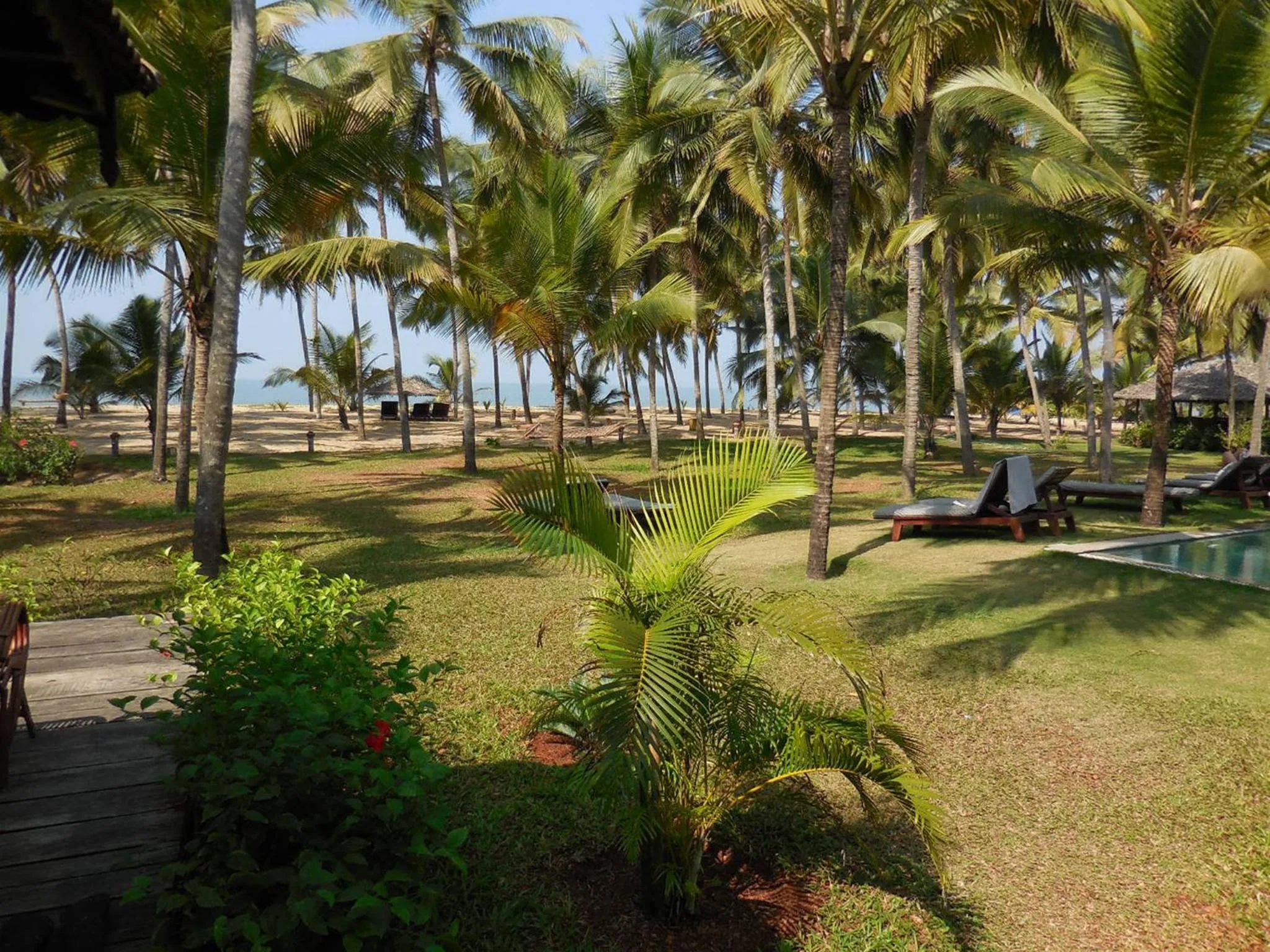 Garden in Kanan Beach Resort