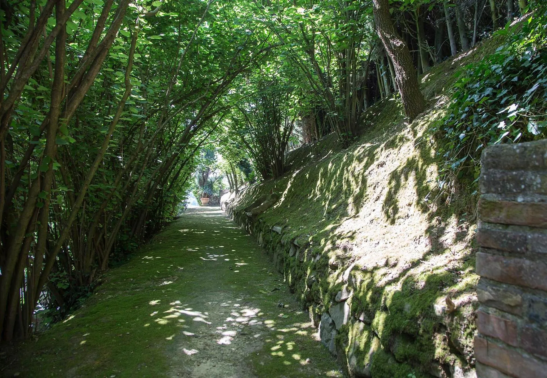 Natural landscape in Villa Cattani Stuart XVII secolo