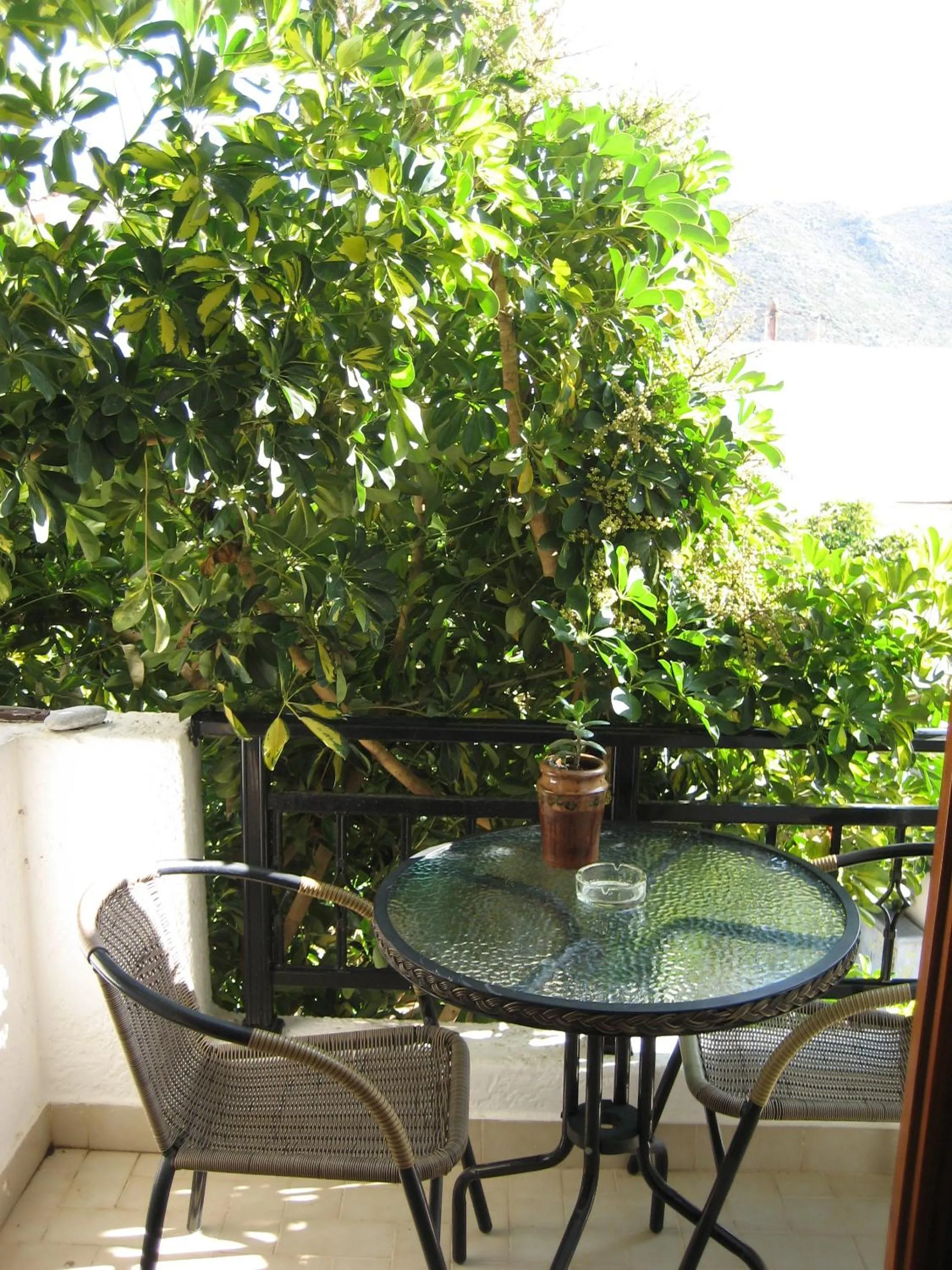 Balcony/Terrace in Thalia Hotel