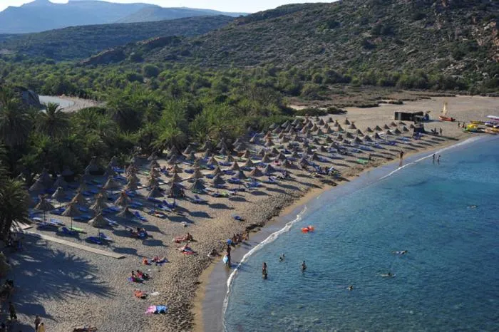 Area and facilities in Thalia Hotel