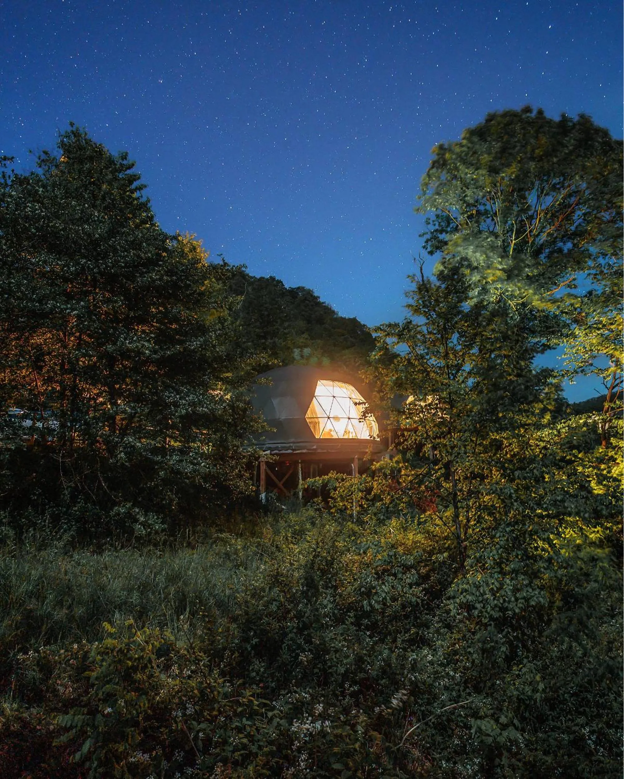 The Glamping Collective